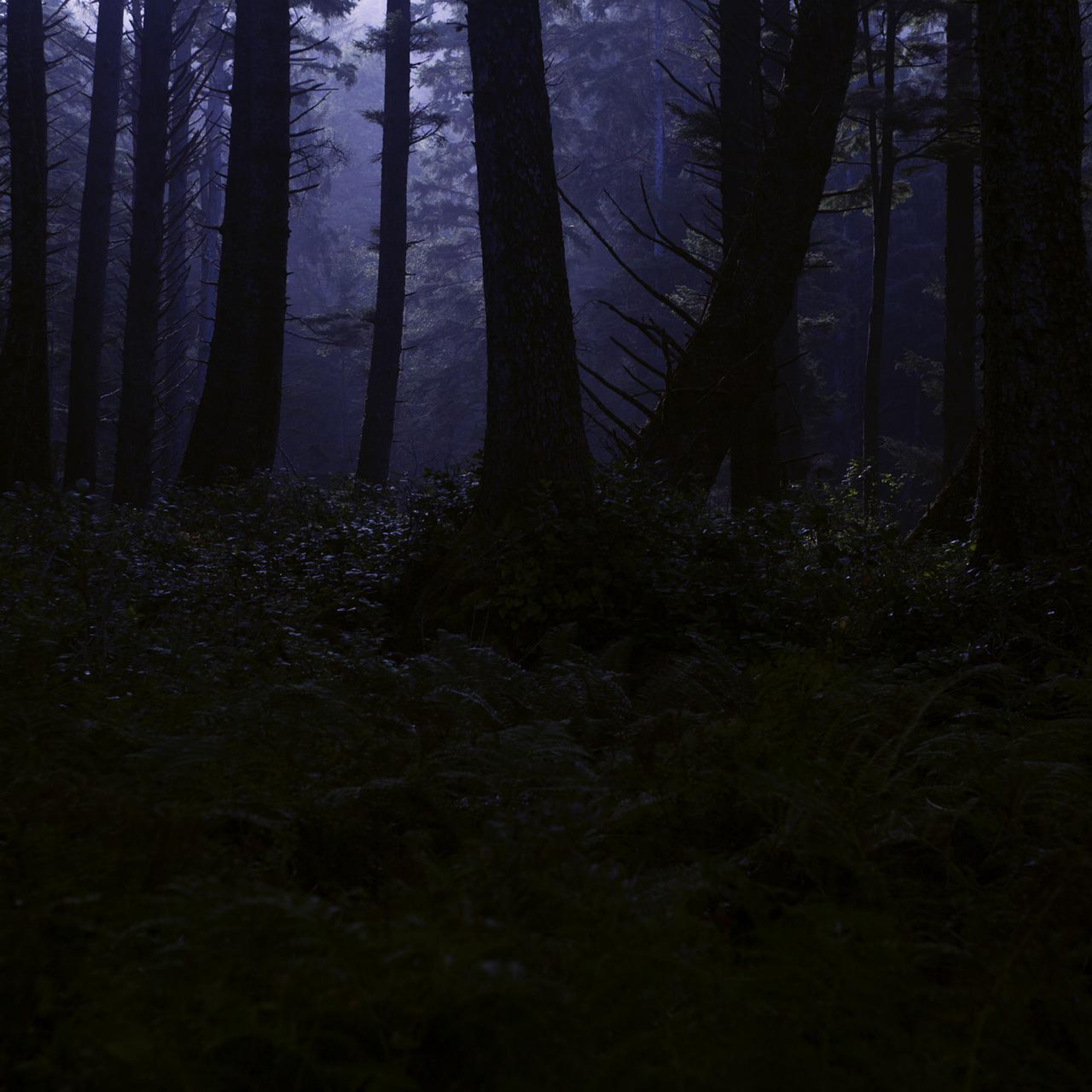 Negative Energies - (Scary Story) - Talesfromtheabyss87