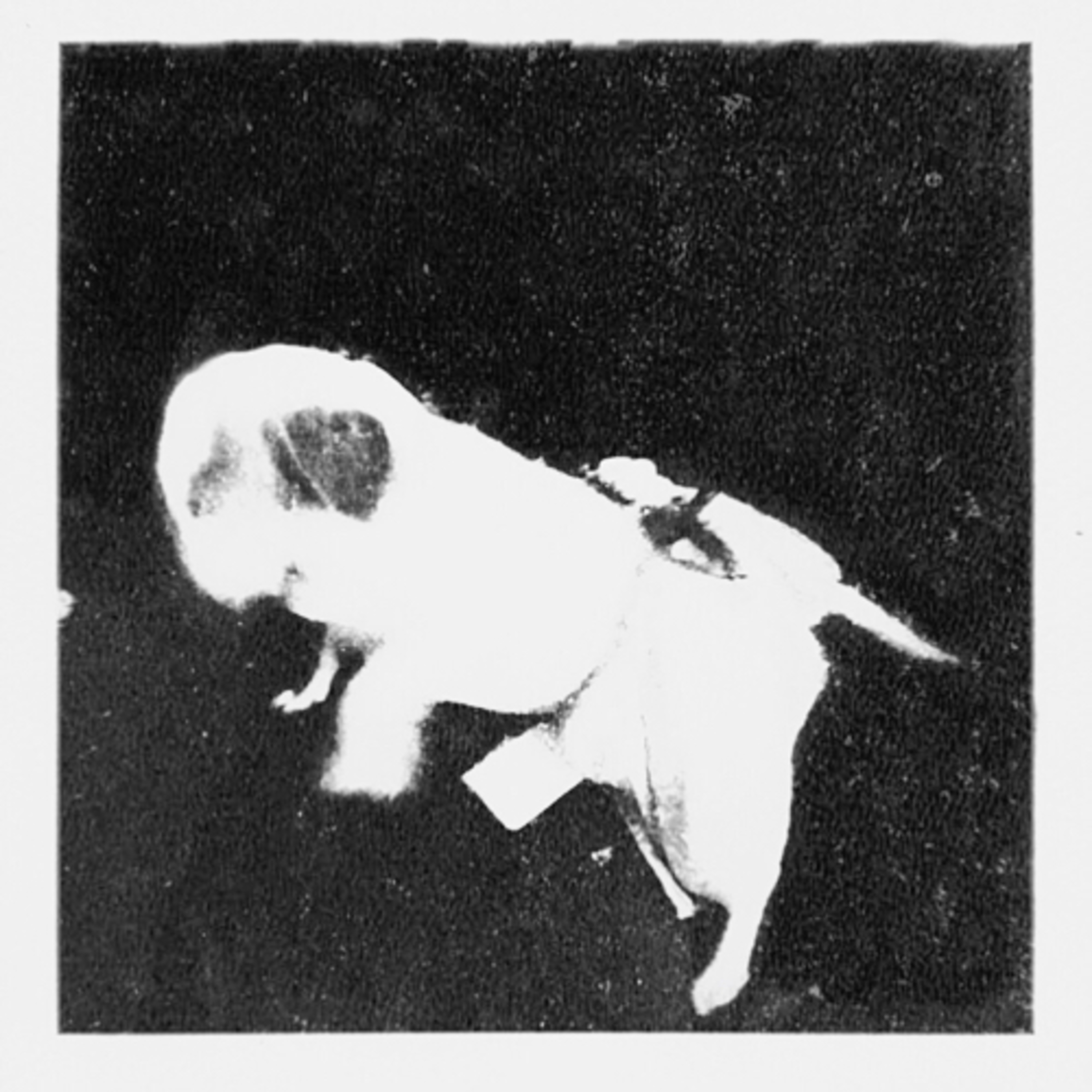 Ep. 19 The Bedroom Invaders Interview âA New Hampshire Fever Dreamâ