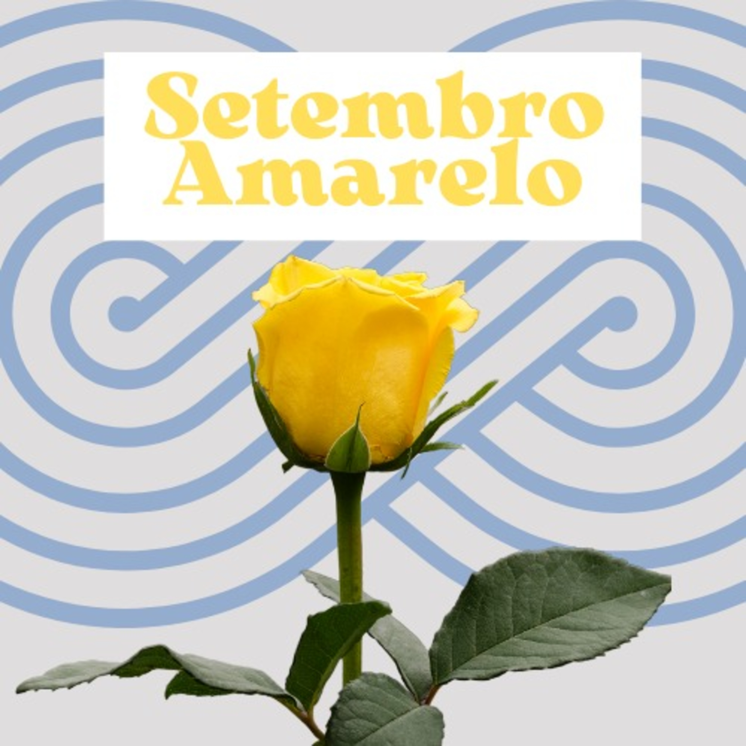 Setembro Amarelo  episode artwork