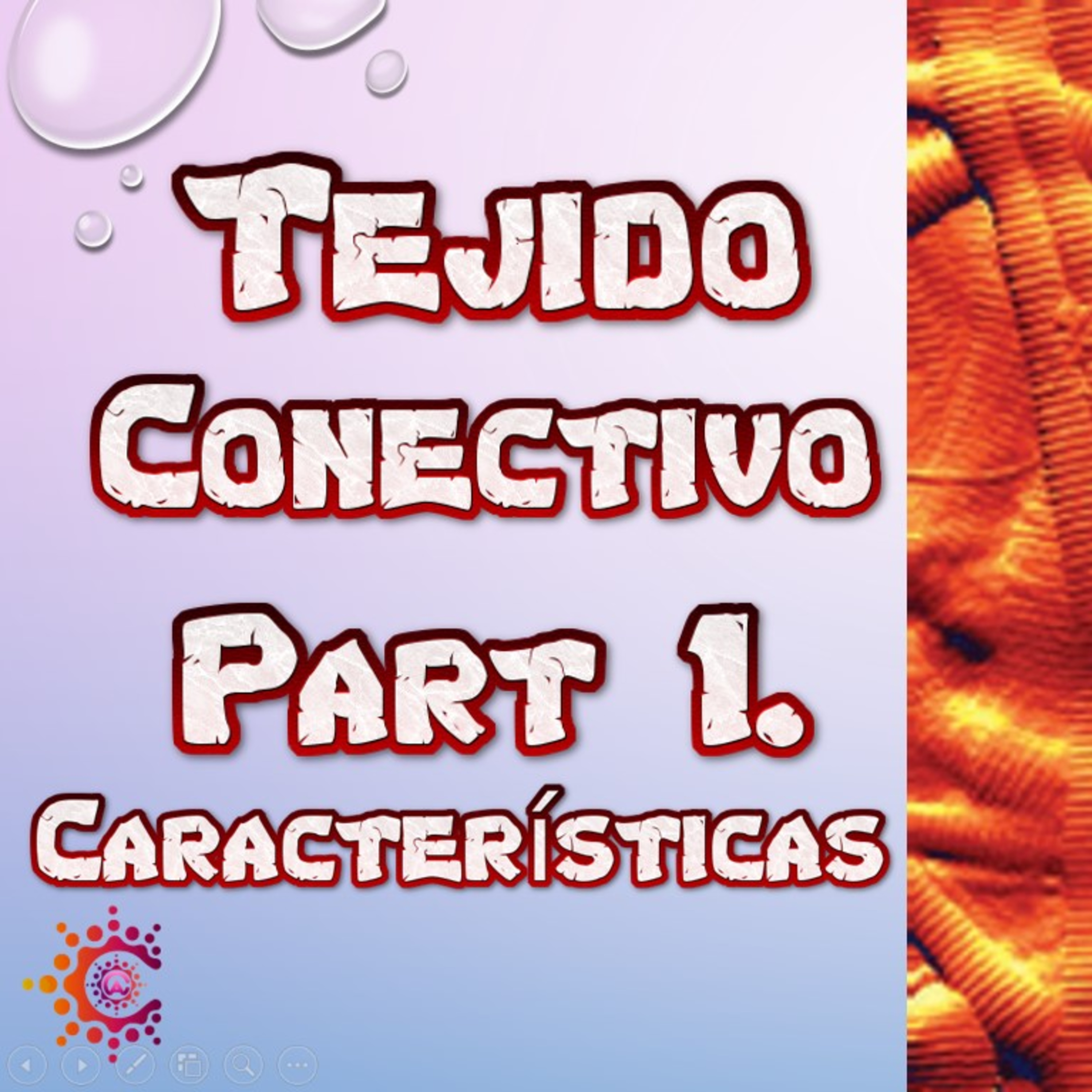 Conocimiento Autónomo