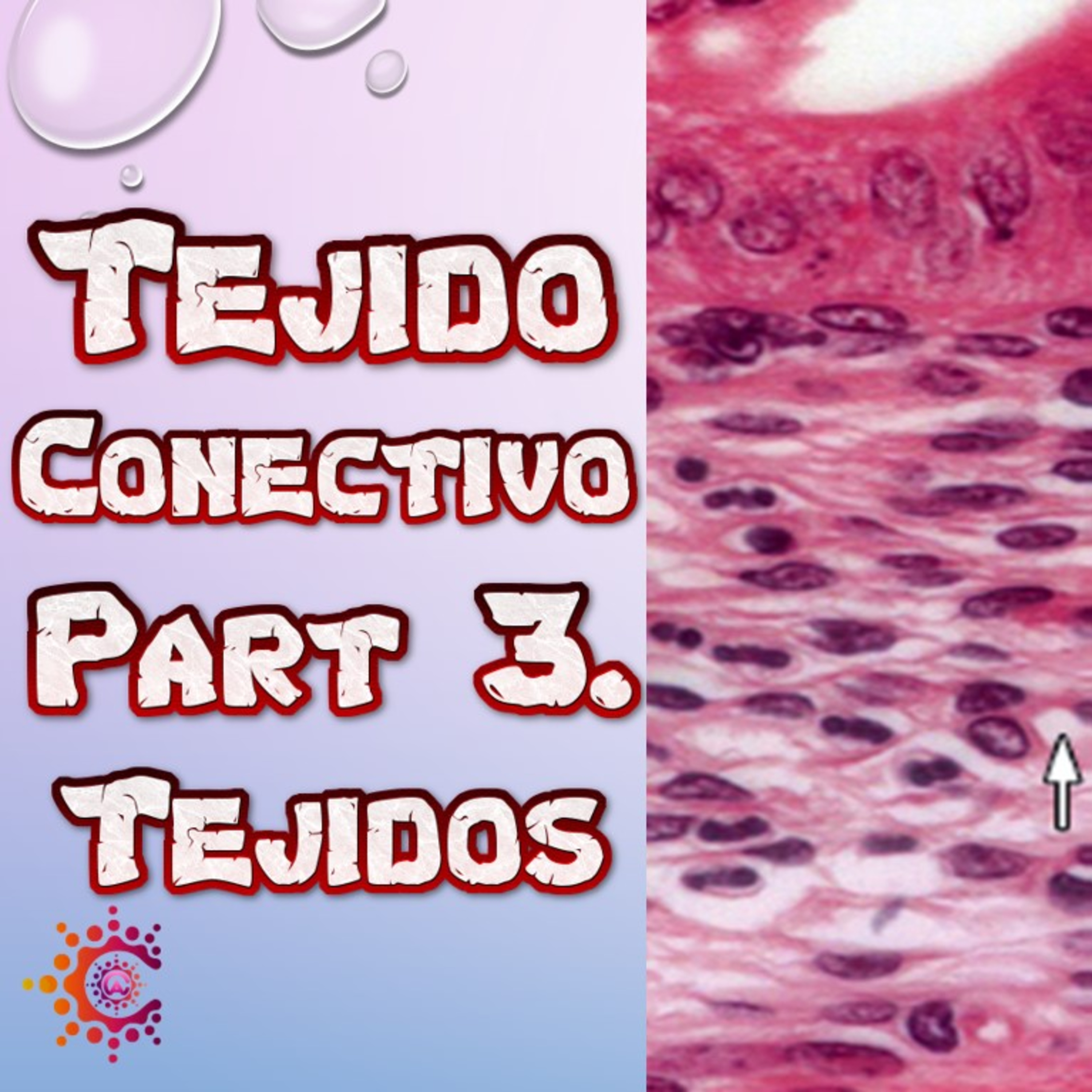 Conocimiento Autónomo