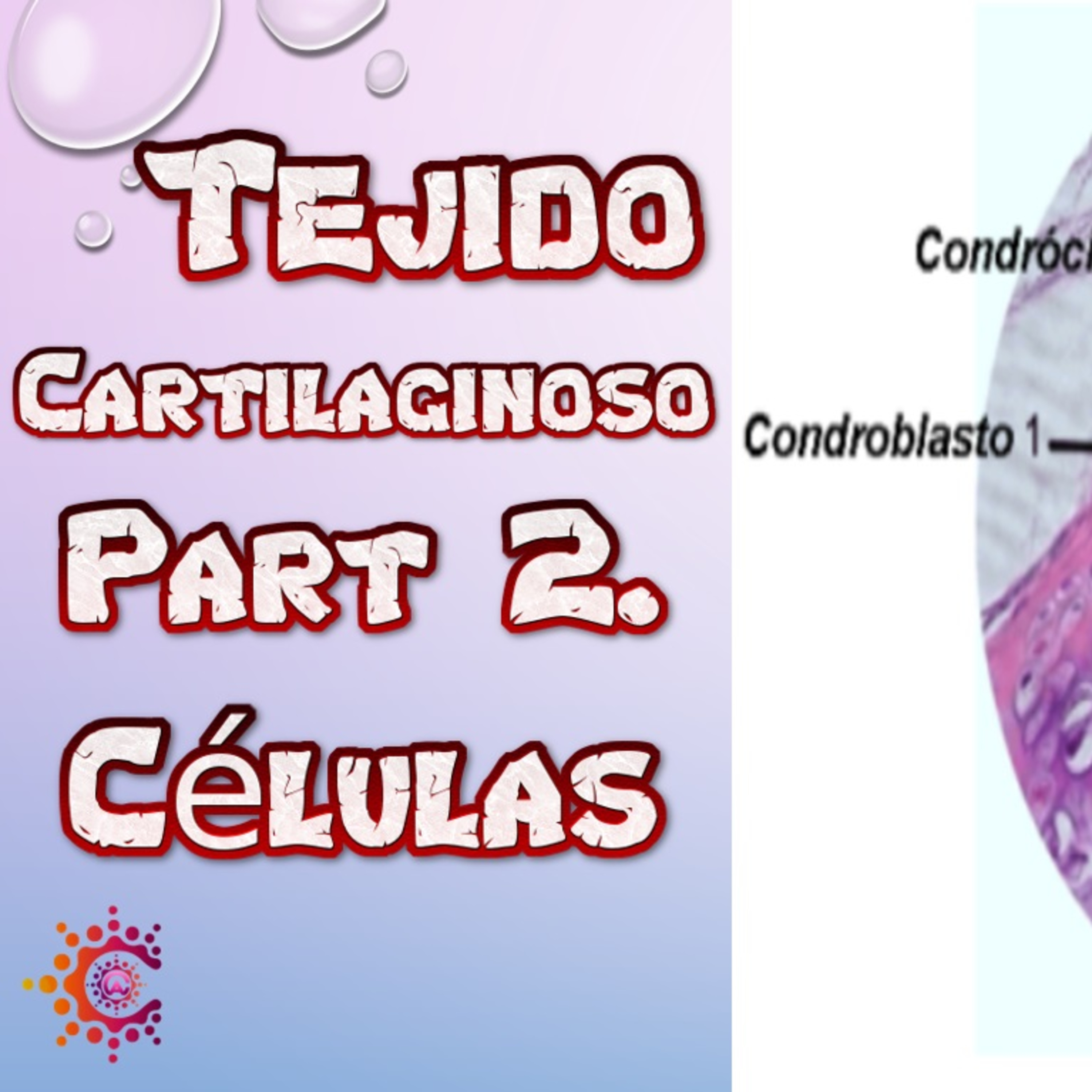 Conocimiento Autónomo