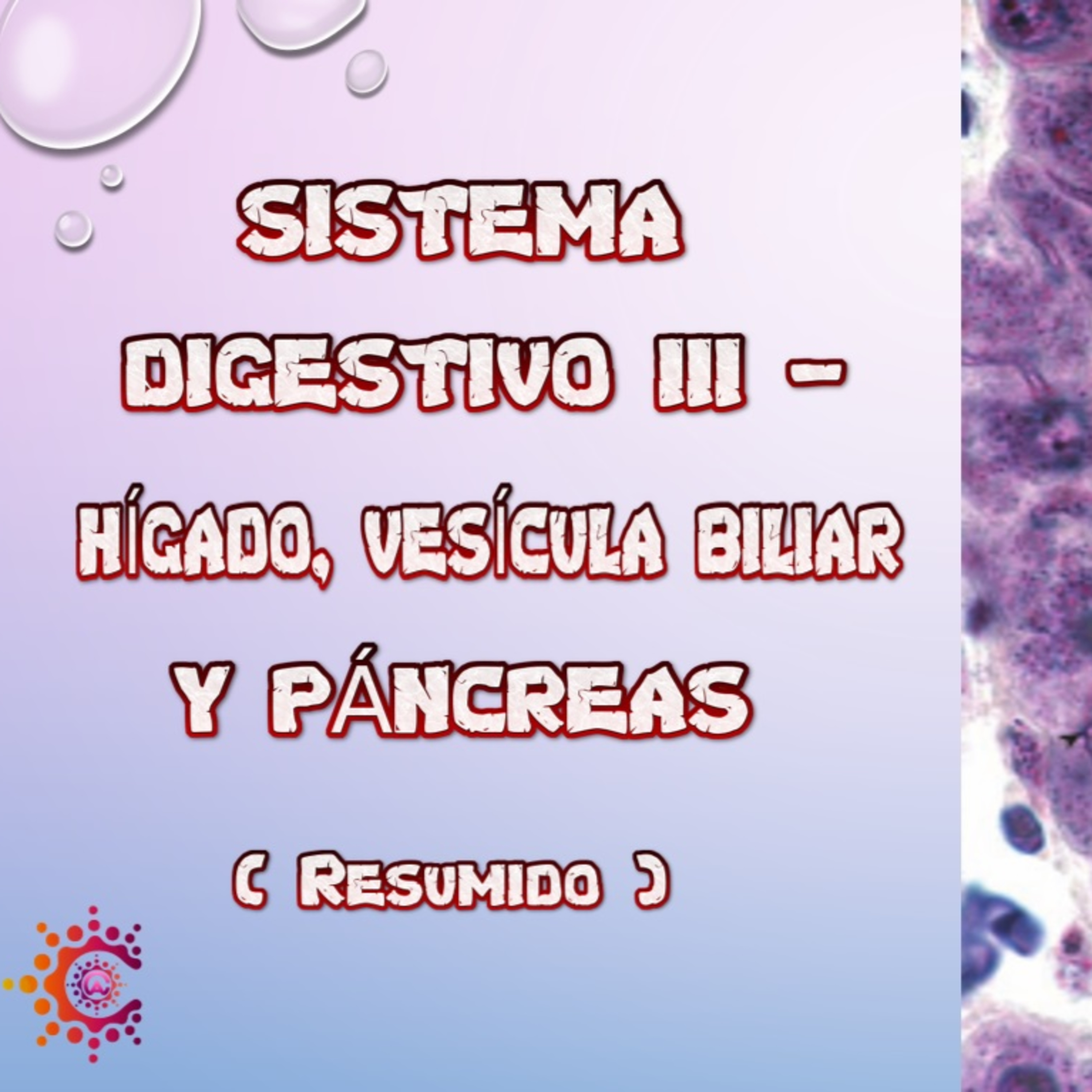 Conocimiento Autónomo