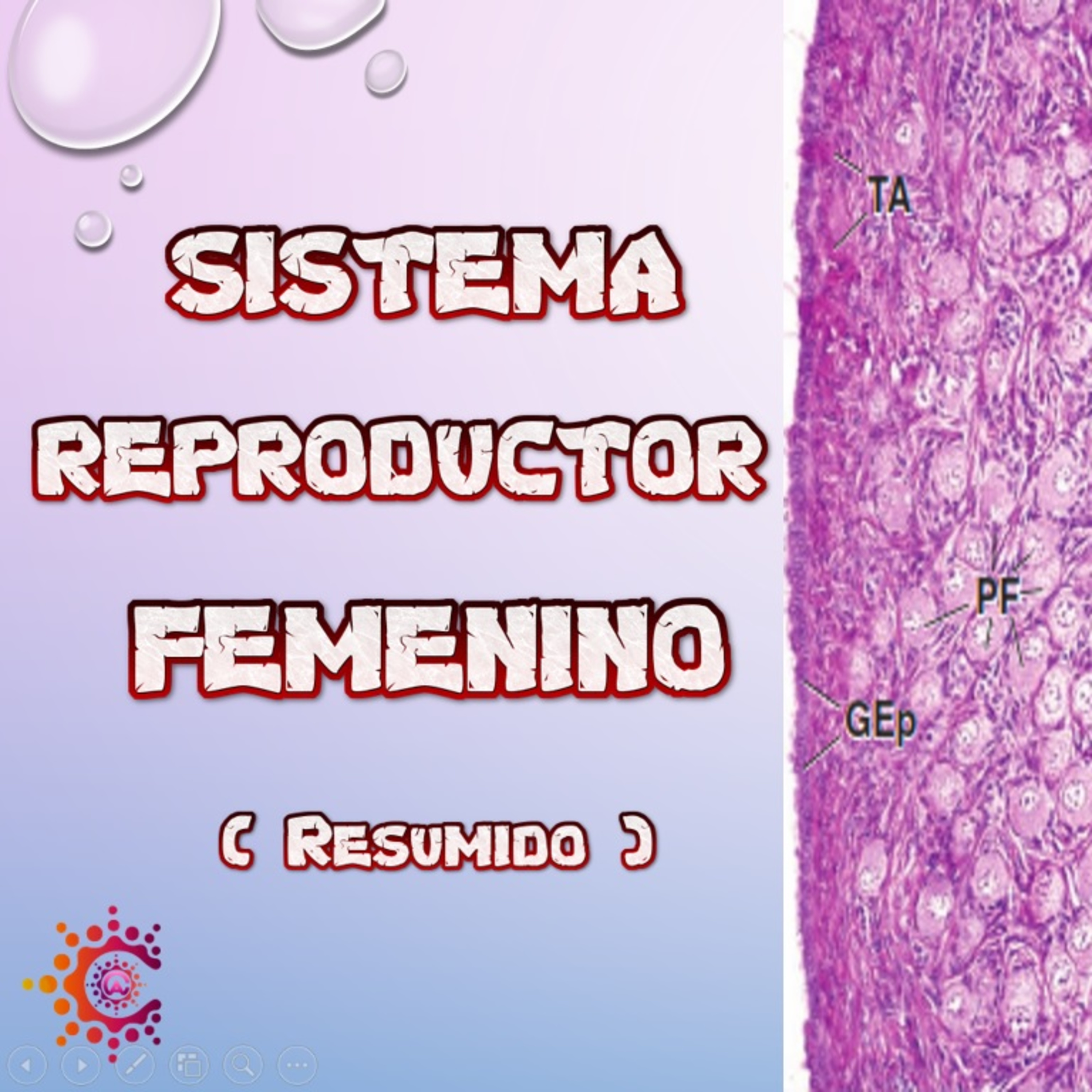 Conocimiento Autónomo