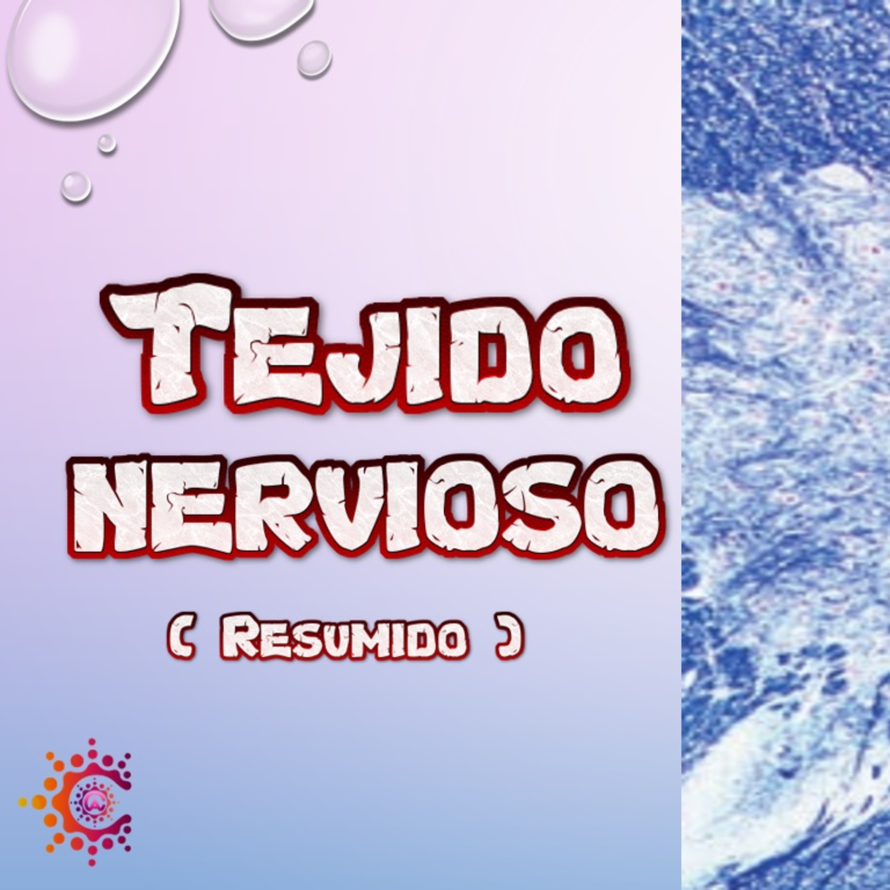 Conocimiento Autónomo