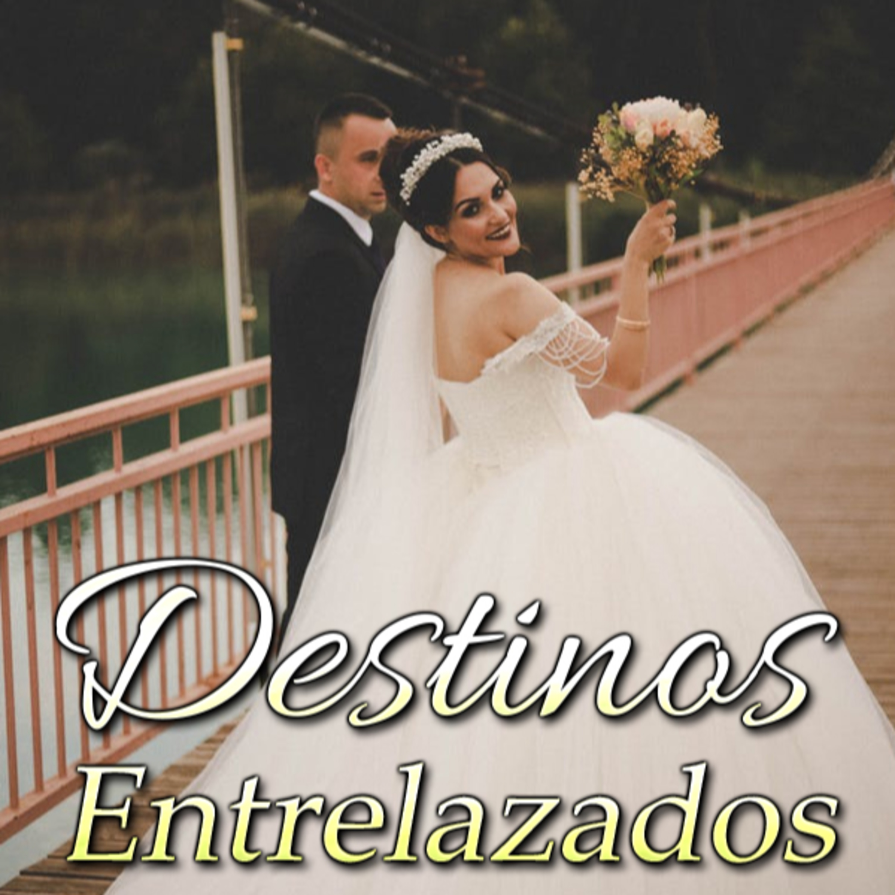 Novelando y Miniread