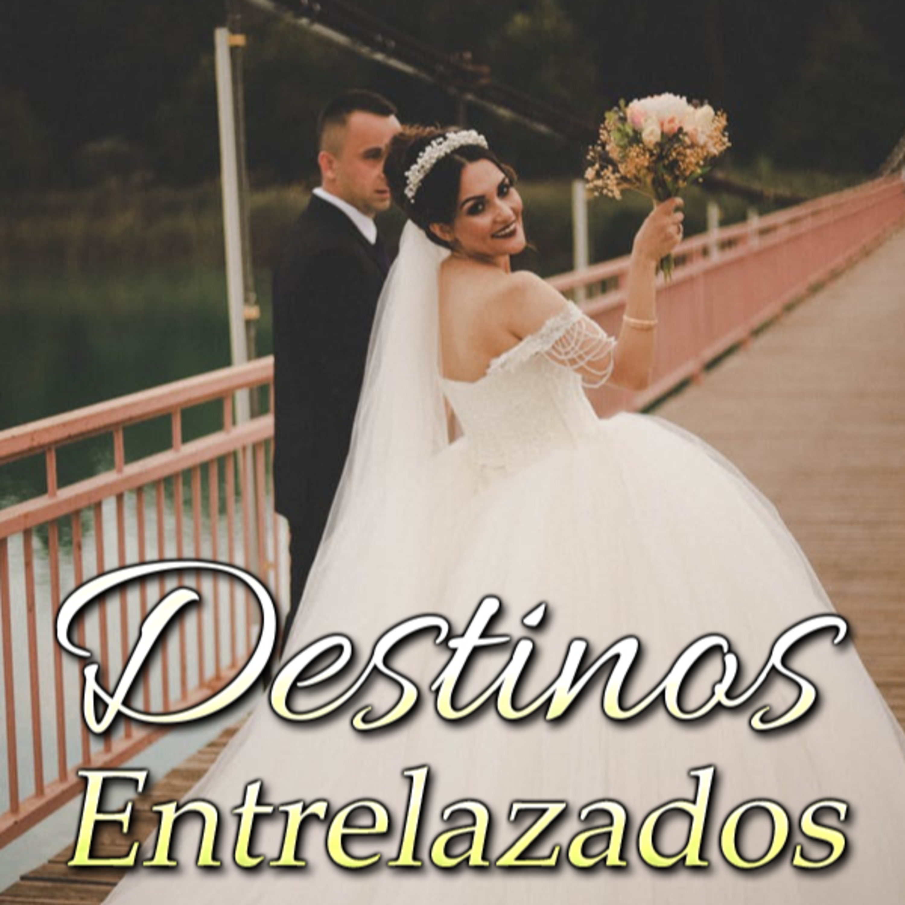 Novelando y Miniread