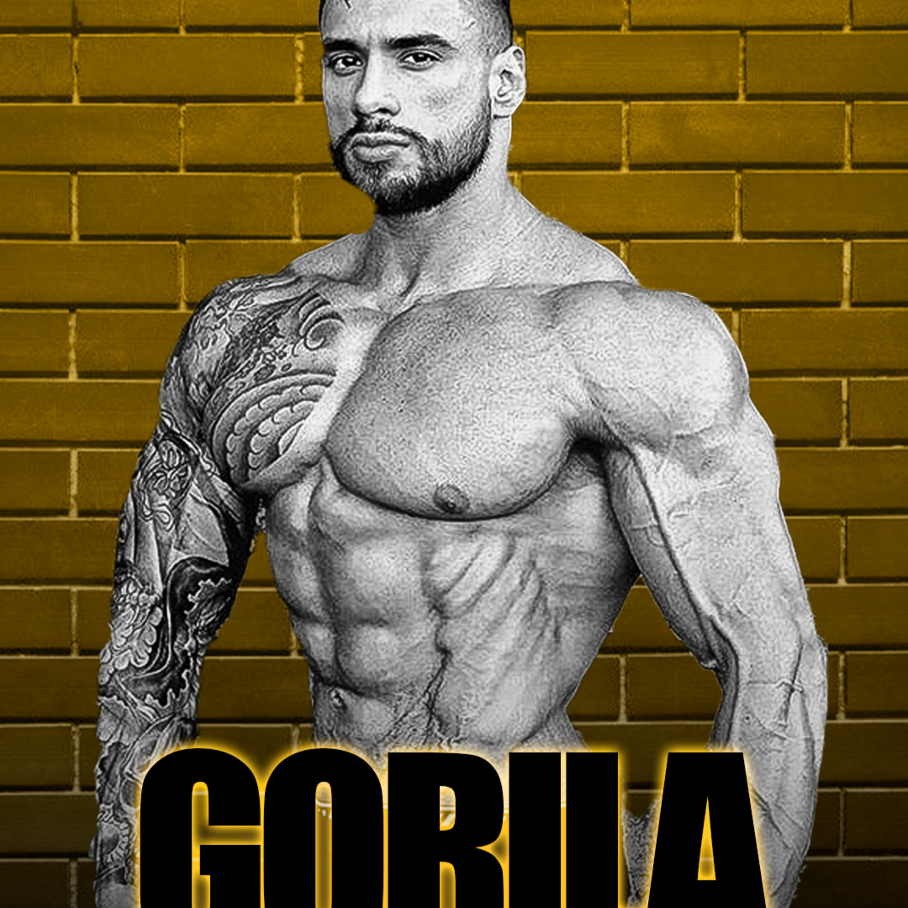 GORILA & SUPERMAN - COMO NOS VELHOS TEMPOS! episode artwork
