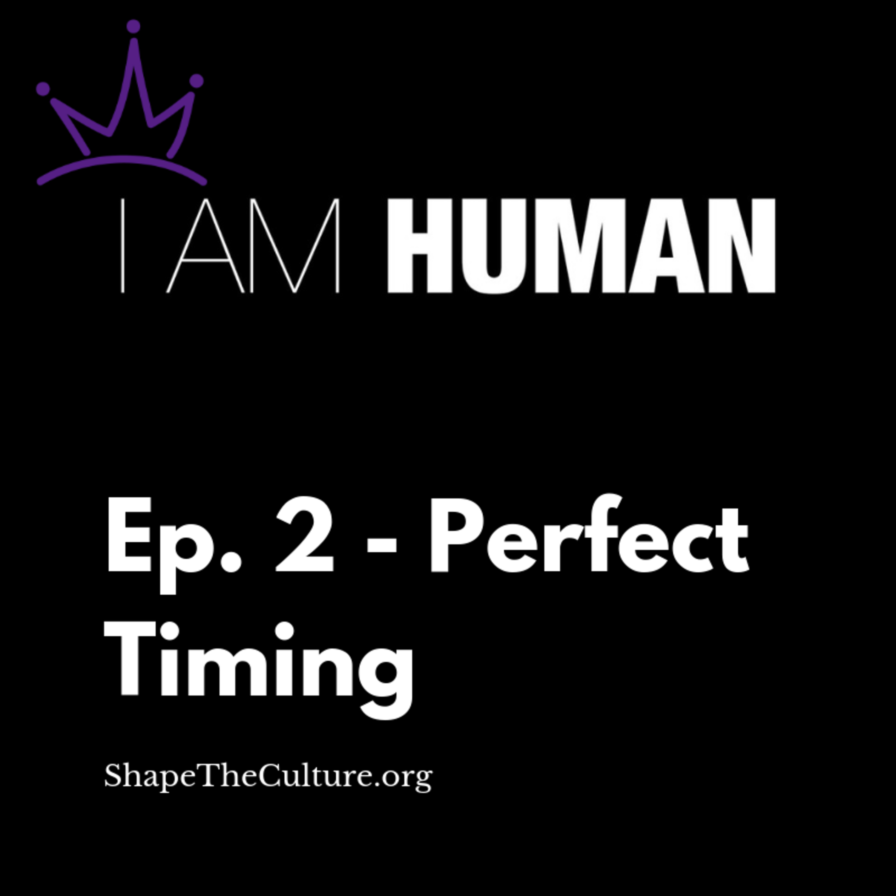I Am Human: Perfect Timing episode artwork