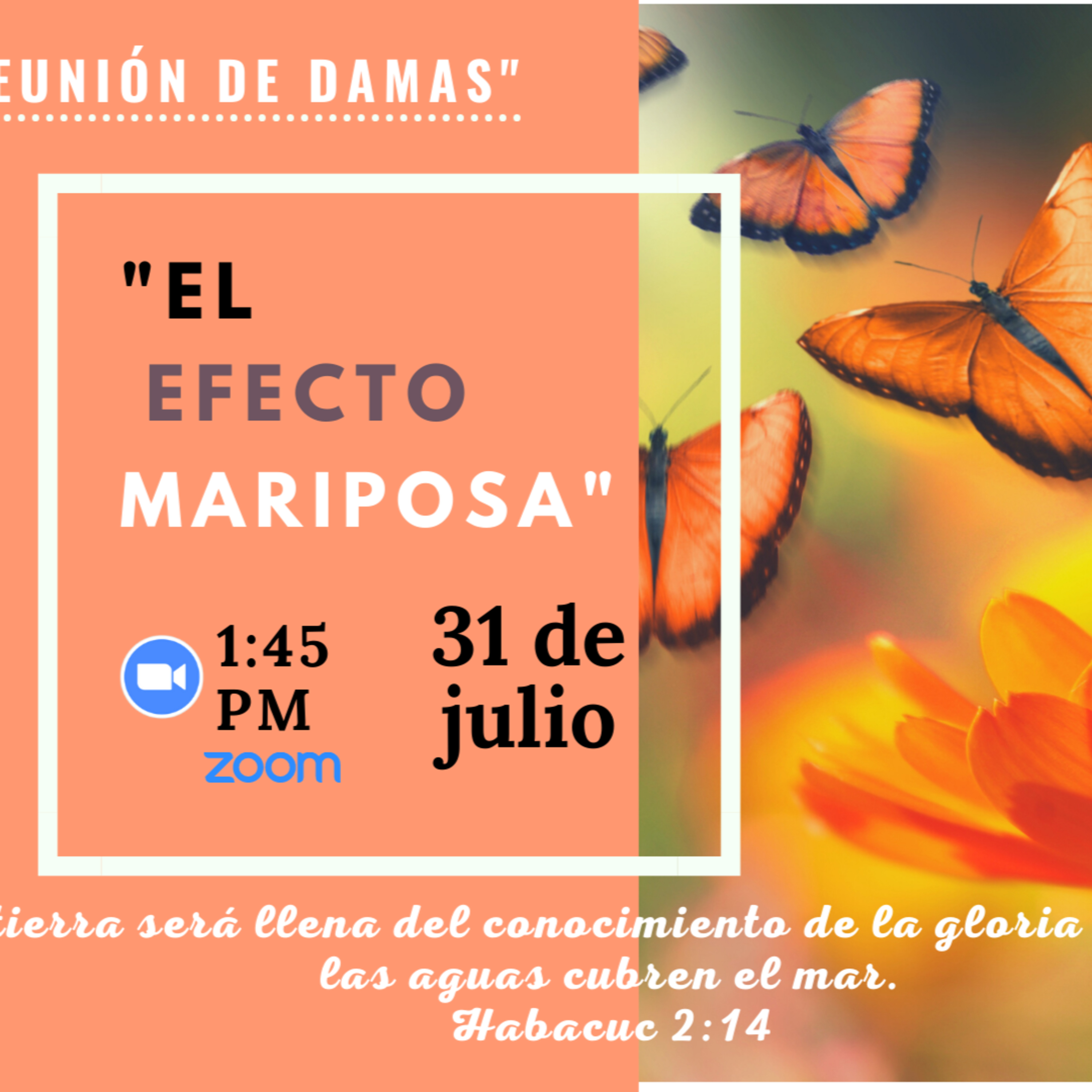 Reunión Damas Sábado 31Julio 2021 EL EFECTO MARIPOSA episode artwork