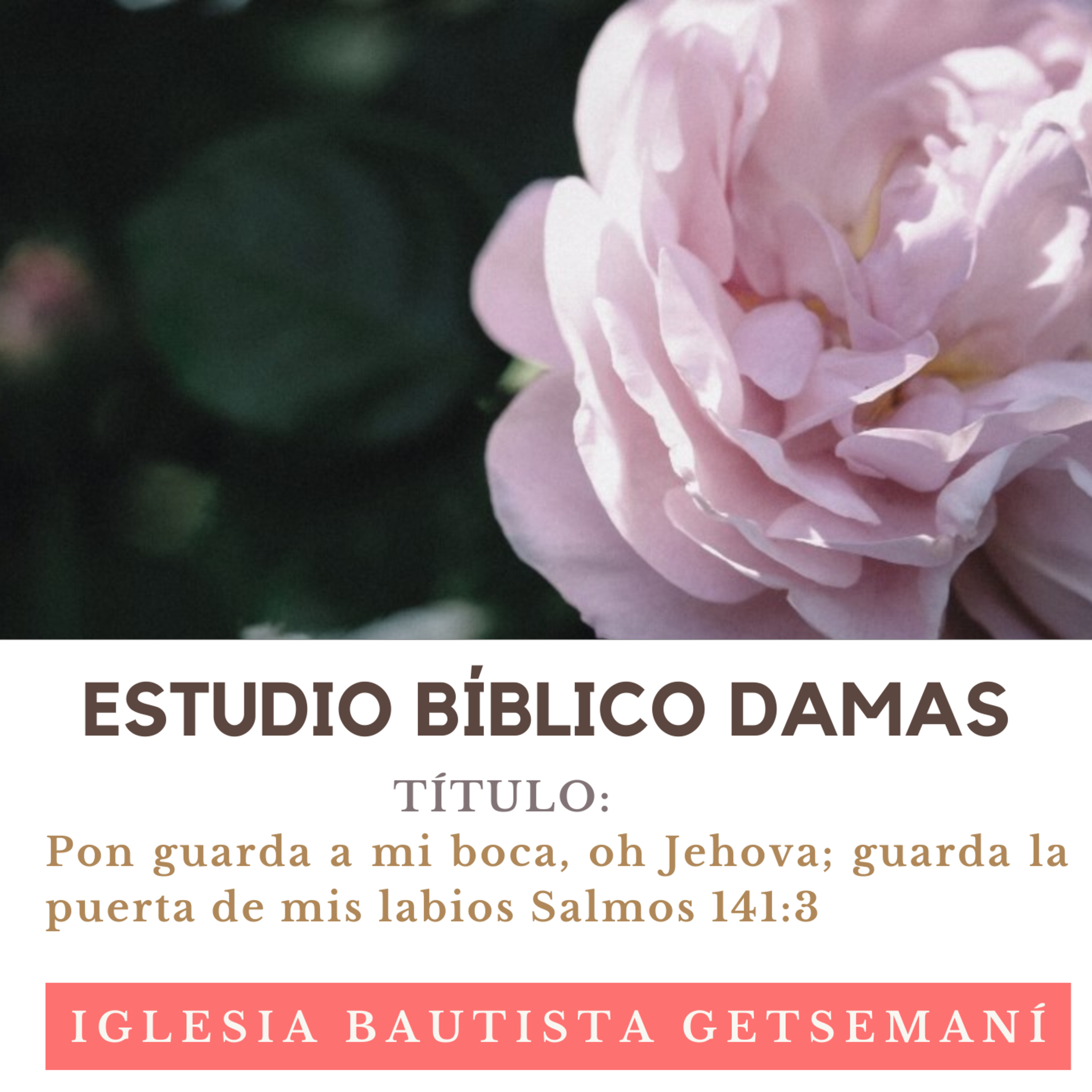 ESTUDIO 25 DAMAS Salmos 141 Versículo3 Sep 13 episode artwork