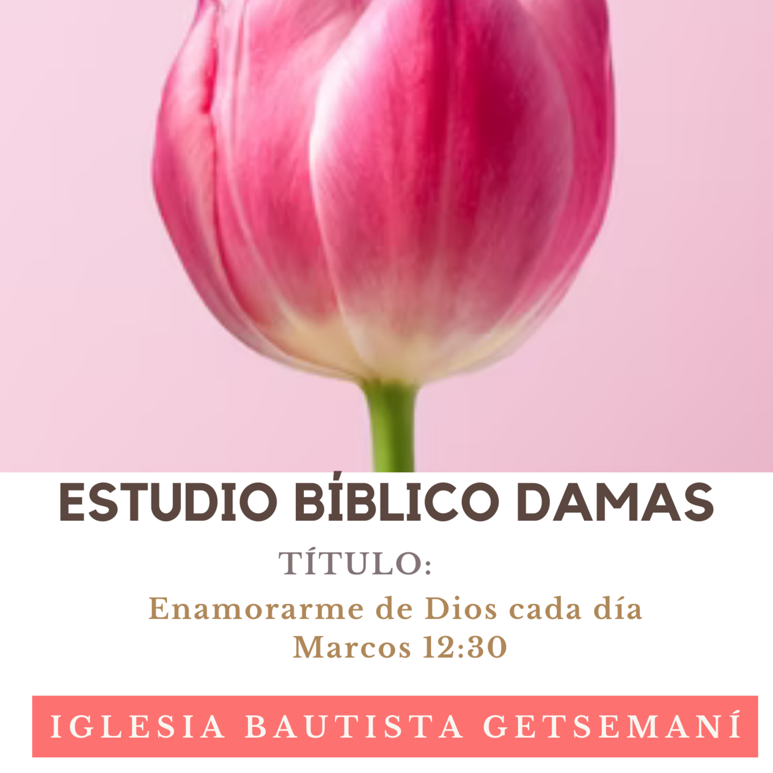 Damas Estudio: Enamorarme de Dios cada día (Marcos 12:30) Getsemaní Lunes 6 Dic 2021 (3) episode artwork