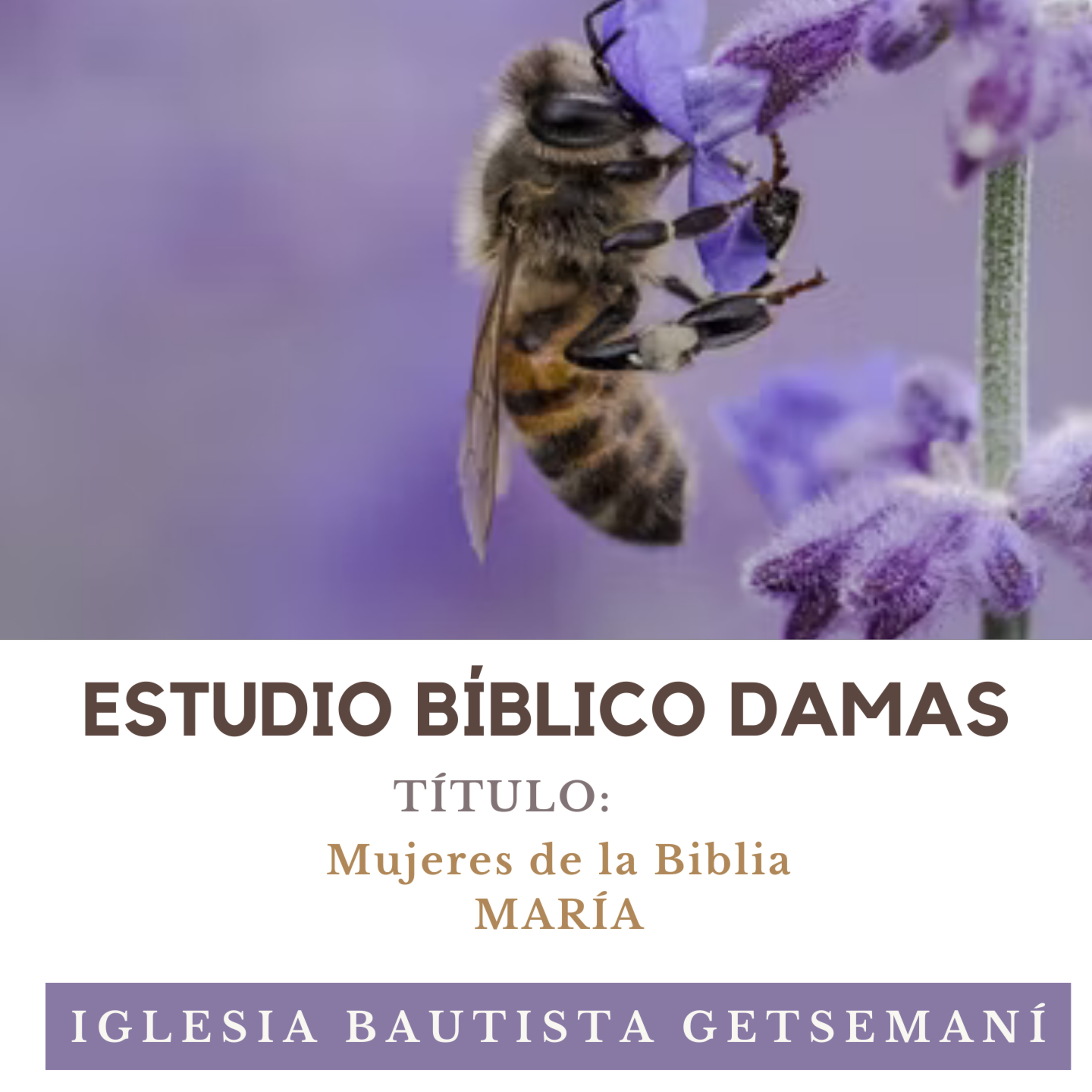 (5) Damas Getsemani Mujeres de la BibliaMARÍA episode artwork