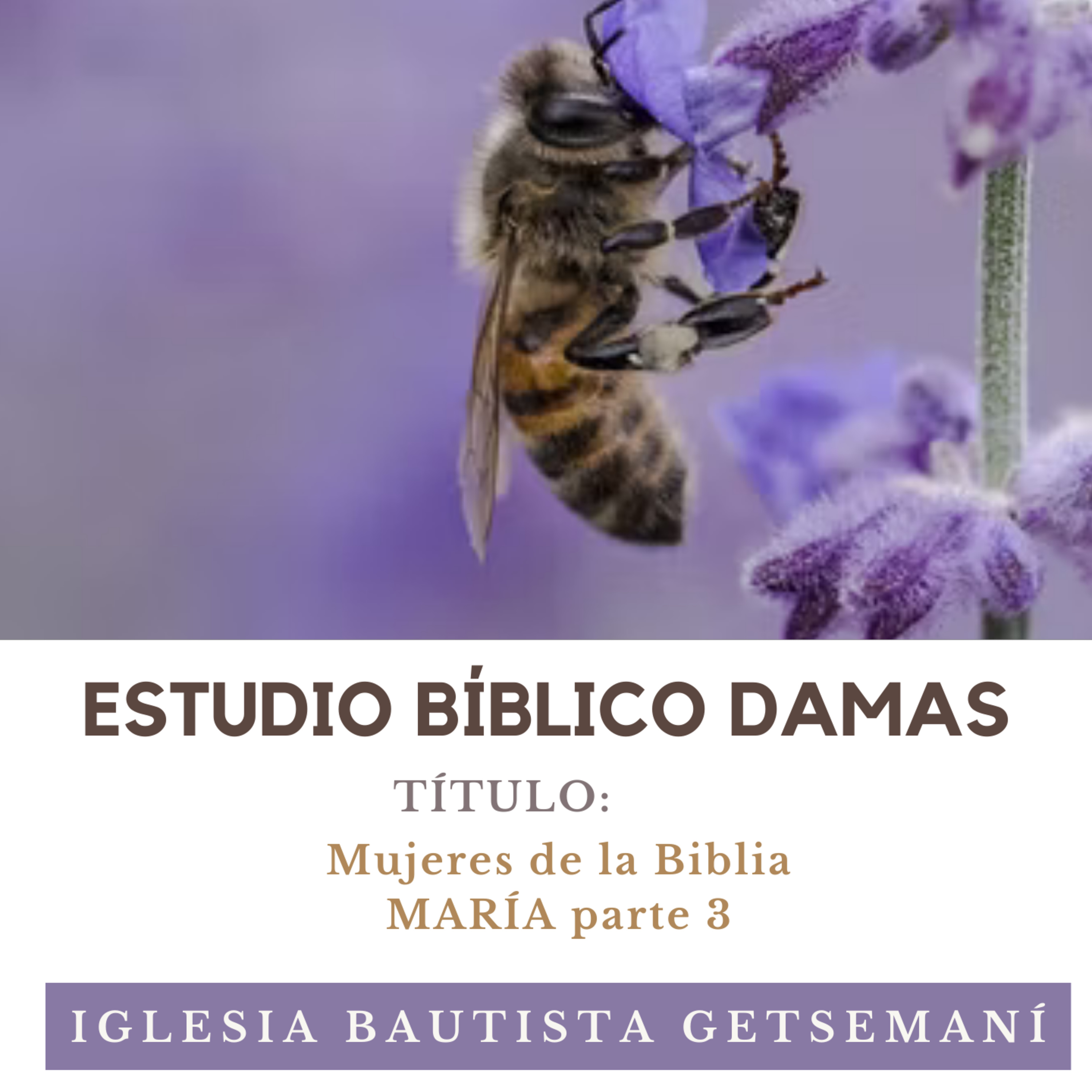 IGLESIA BAUTISTA GETSEMANÍ