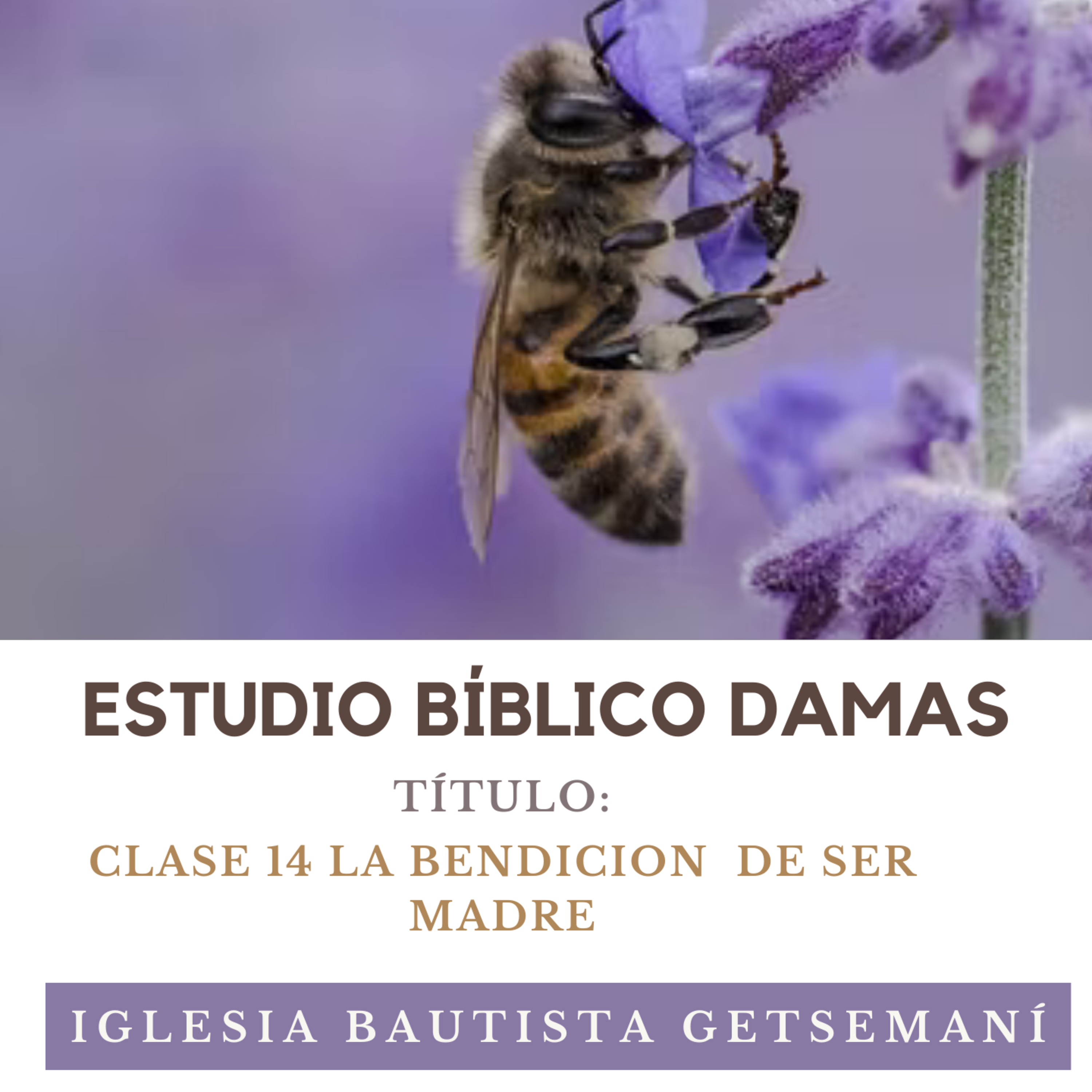 (14) Damas Getsemaní LA BENDICIÓN DE SER MADRE episode artwork
