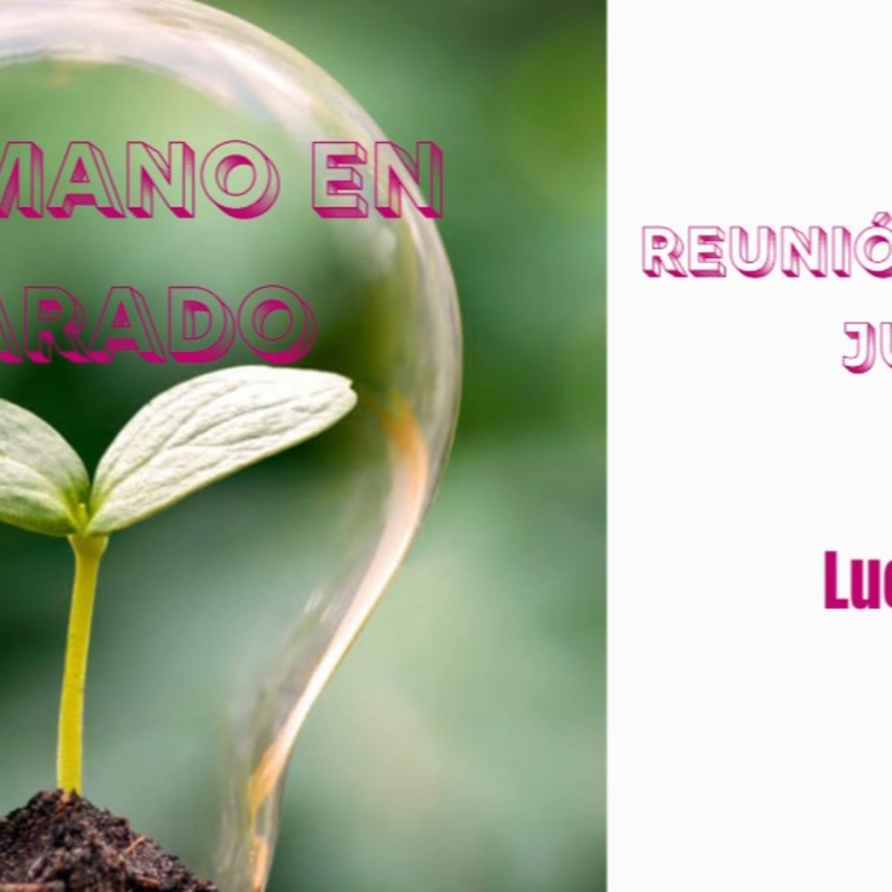 Reunión Damas Sábado Julio 2022 | Una Mano En El Arado episode artwork
