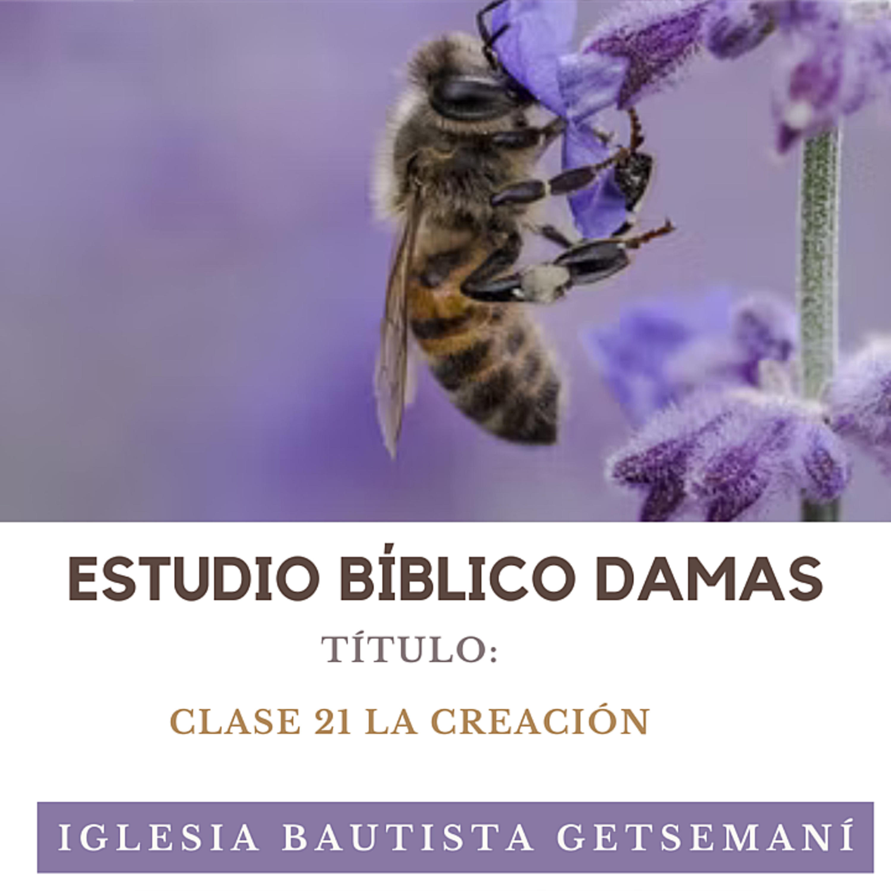 (21) Damas Getsemaní | Mujeres de La Biblia | LA CREACIÓN episode artwork