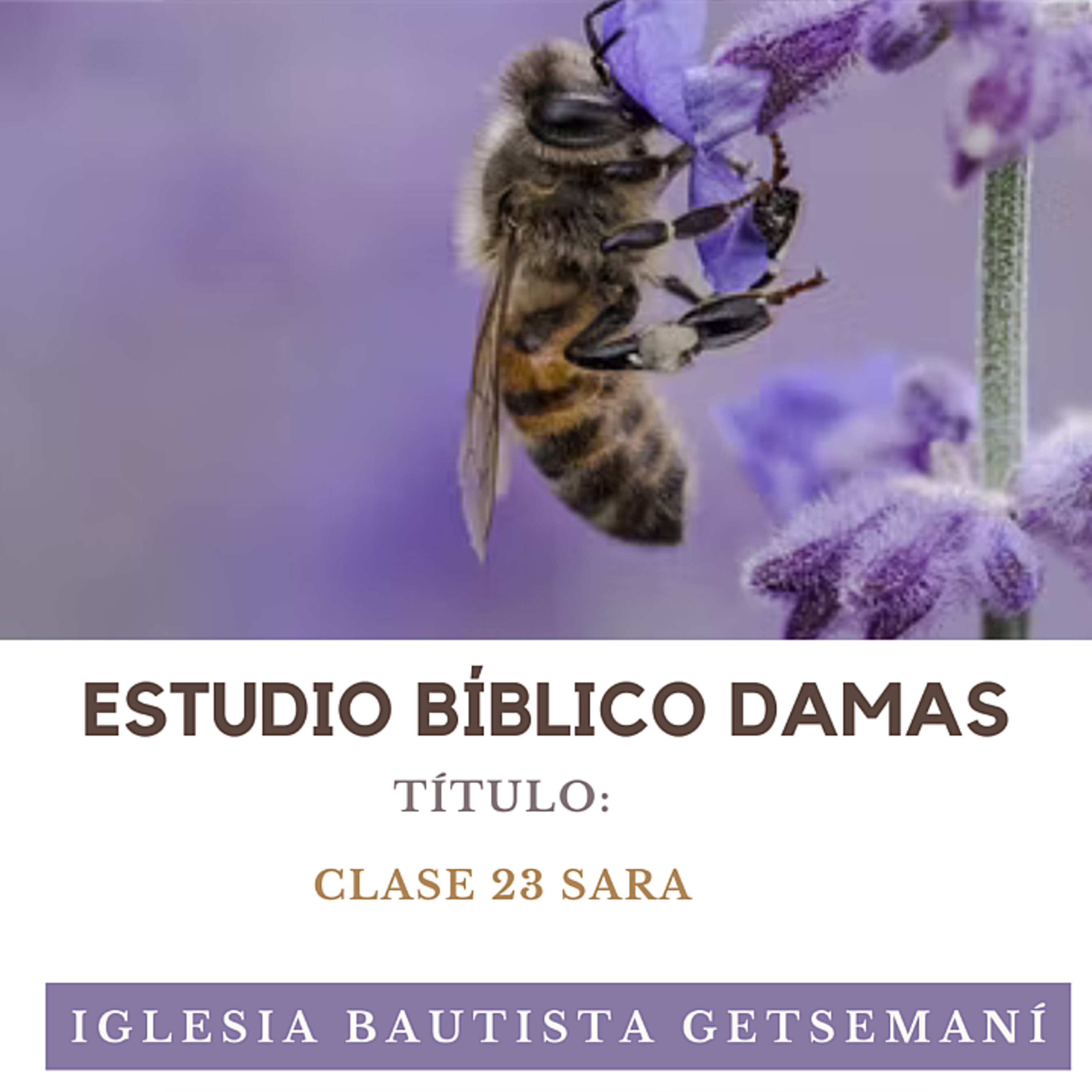 (23) Damas Getsemaní | Mujeres de La Biblia | SARA episode artwork