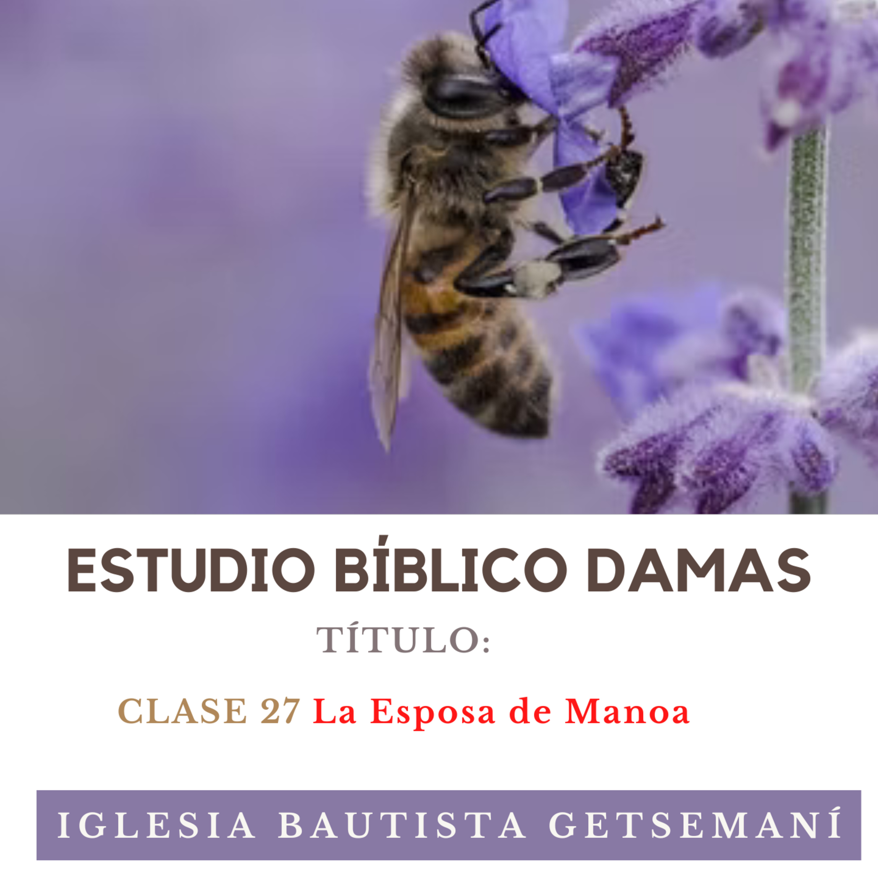 (27) Damas Getsemaní | Mujeres de La Biblia | La Esposa de Manoa | 31 Oct 2022 episode artwork