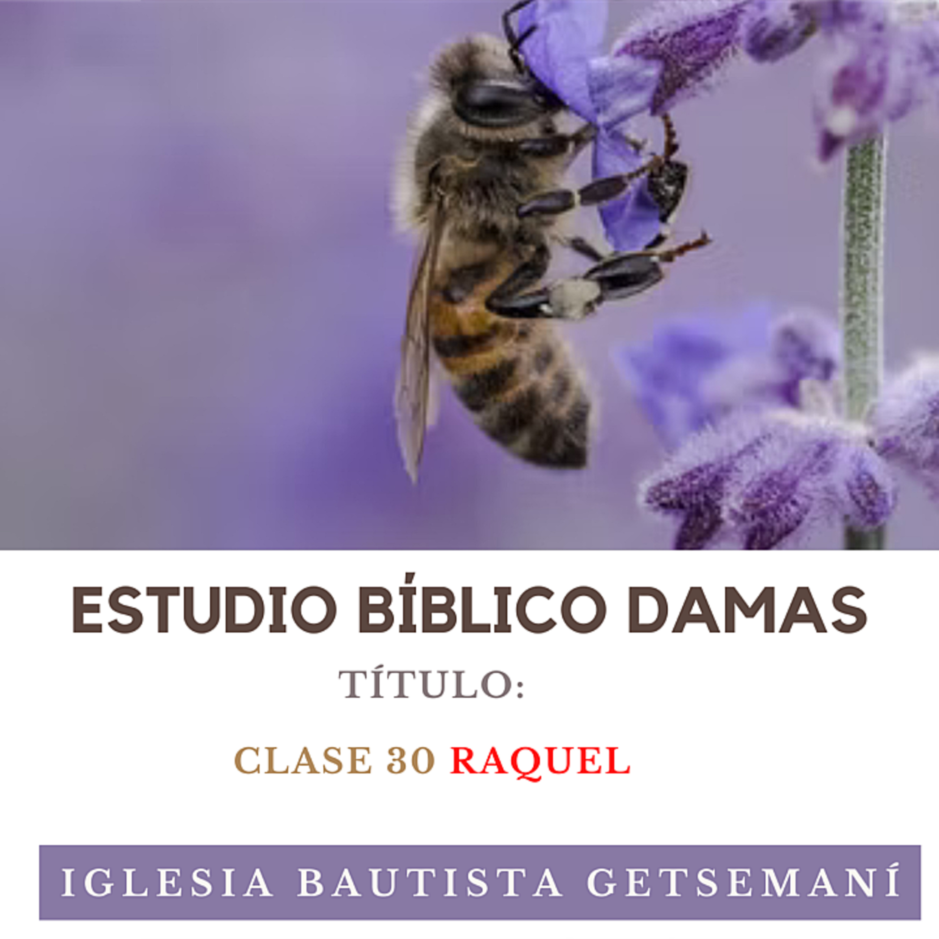 (30) Damas Getsemaní | Mujeres de La Biblia | Raquel | 13 Feb 2023 episode artwork