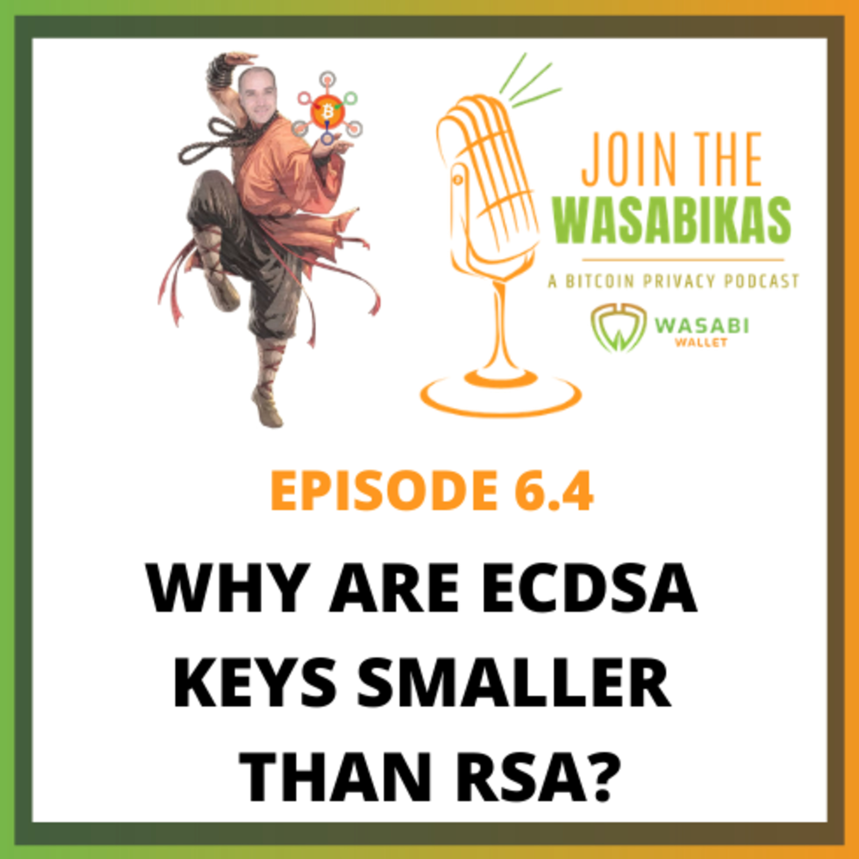 6.4 Why are ECDSA keys smaller than RSA? || Adam Gibson episode artwork
