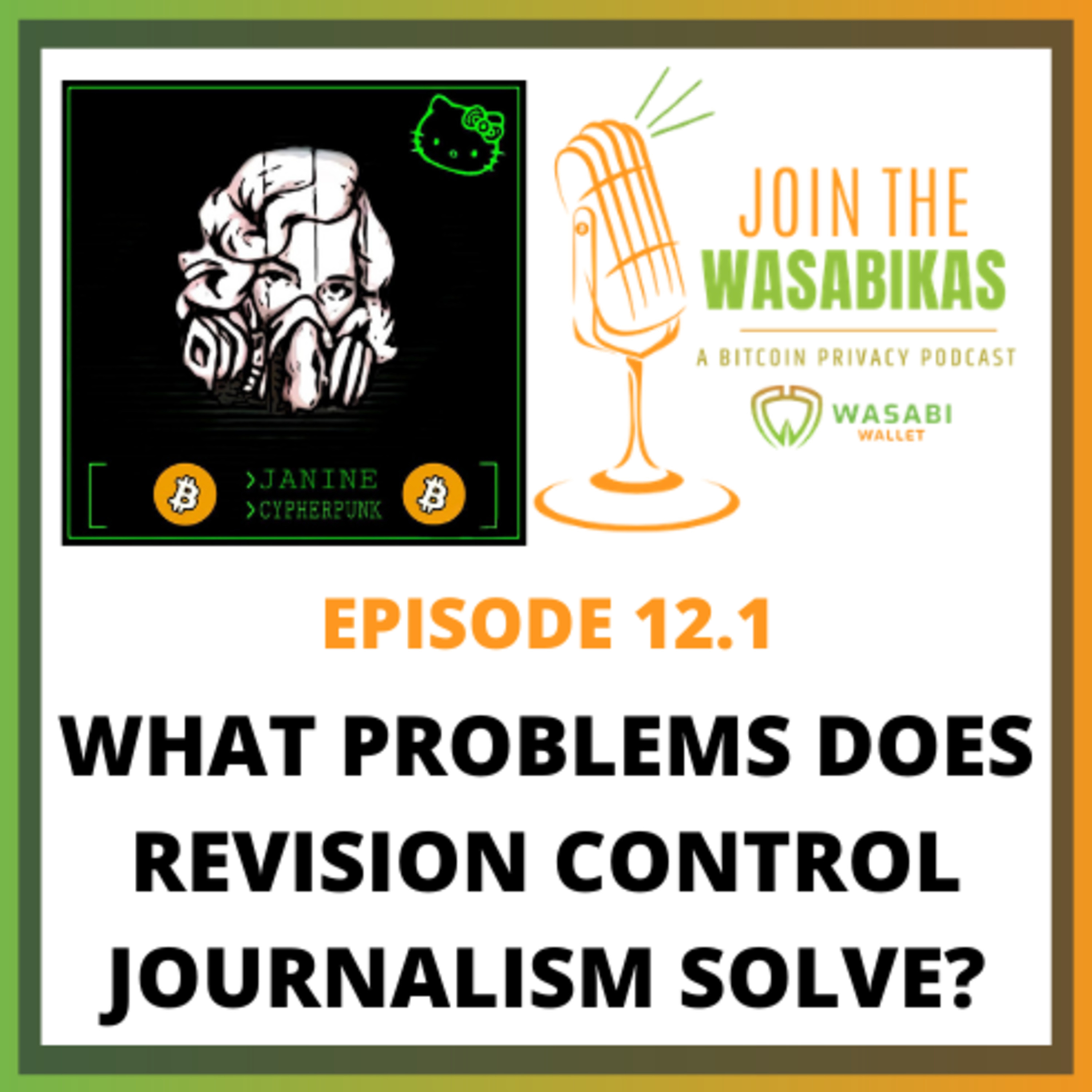 12.1 What Problems does Revision Control Journalism Solve? || Janine Römer episode artwork