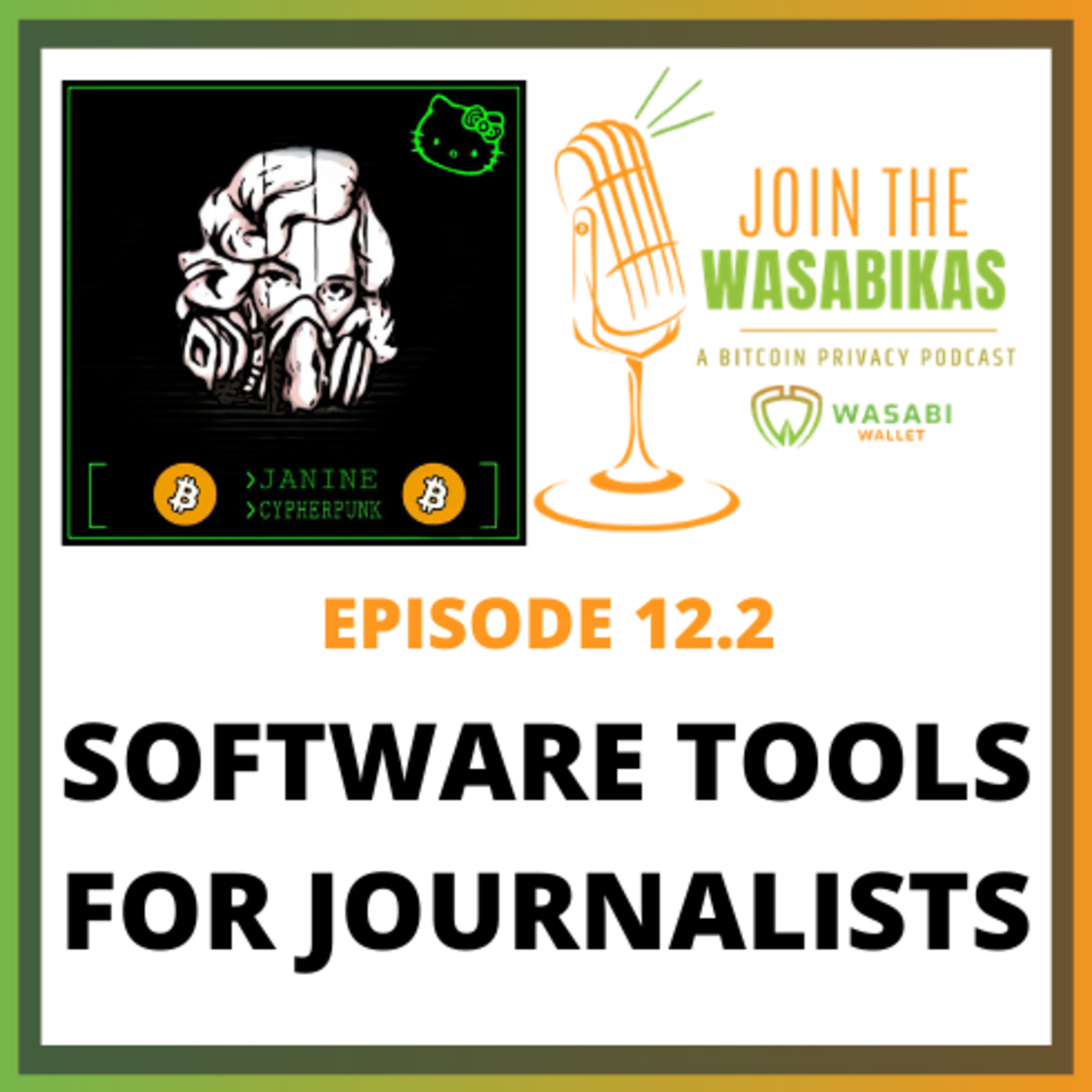 12.2 Software Tools for Journalists || Janine Römer episode artwork