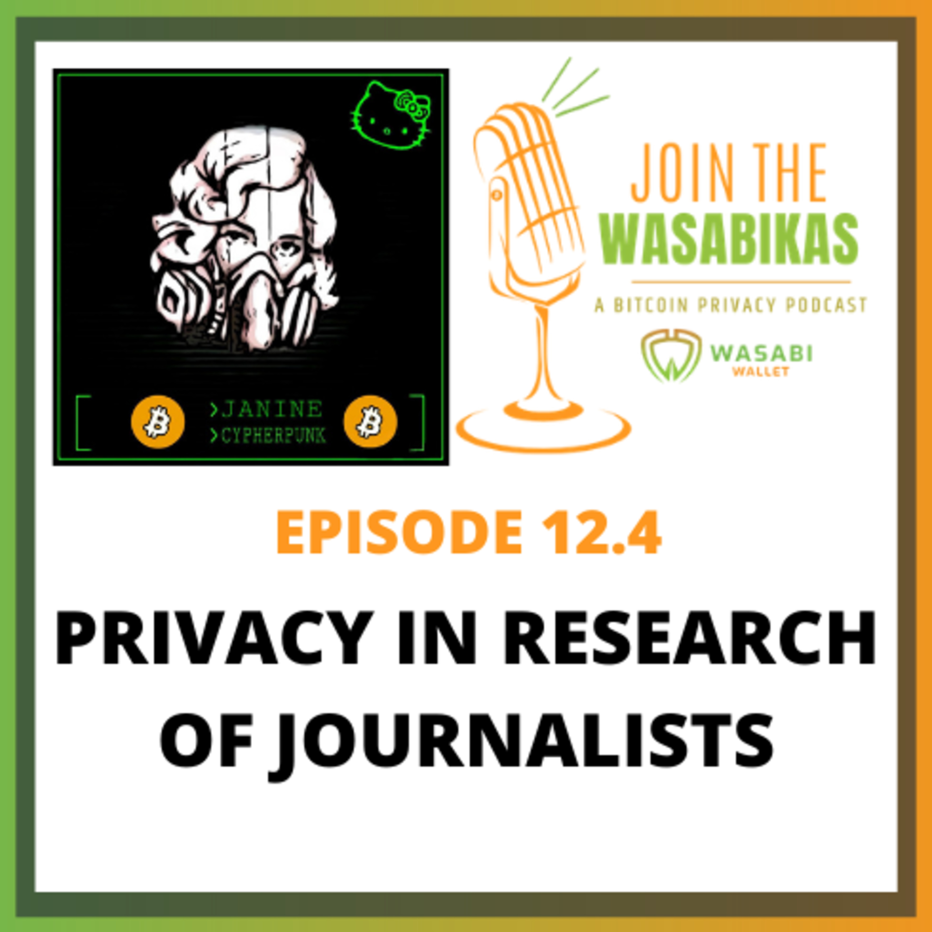 12.4 Privacy in Research of Journalists || Janine Römer episode artwork