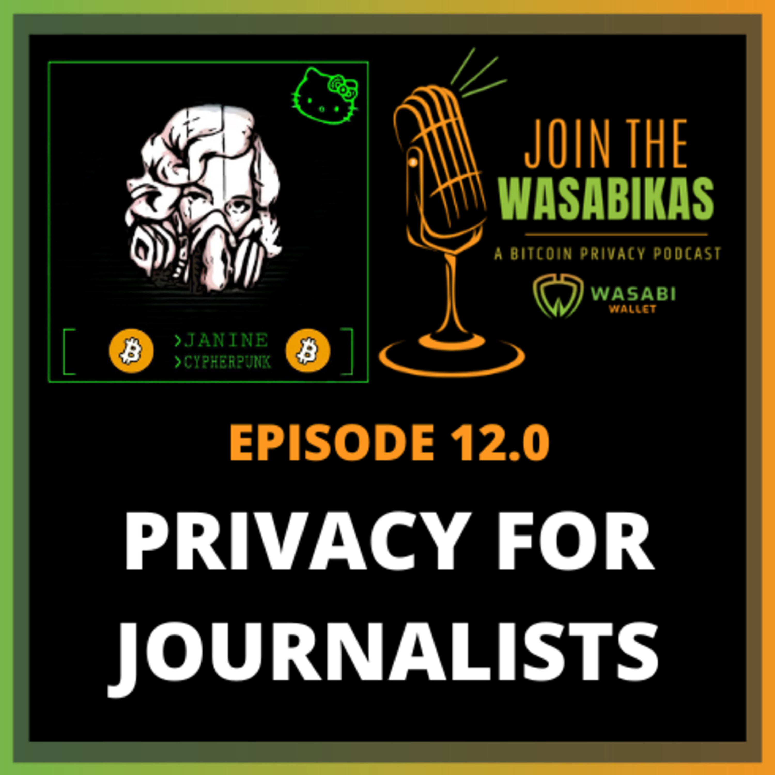 12.0 Privacy for Journalists || Janine Römer episode artwork