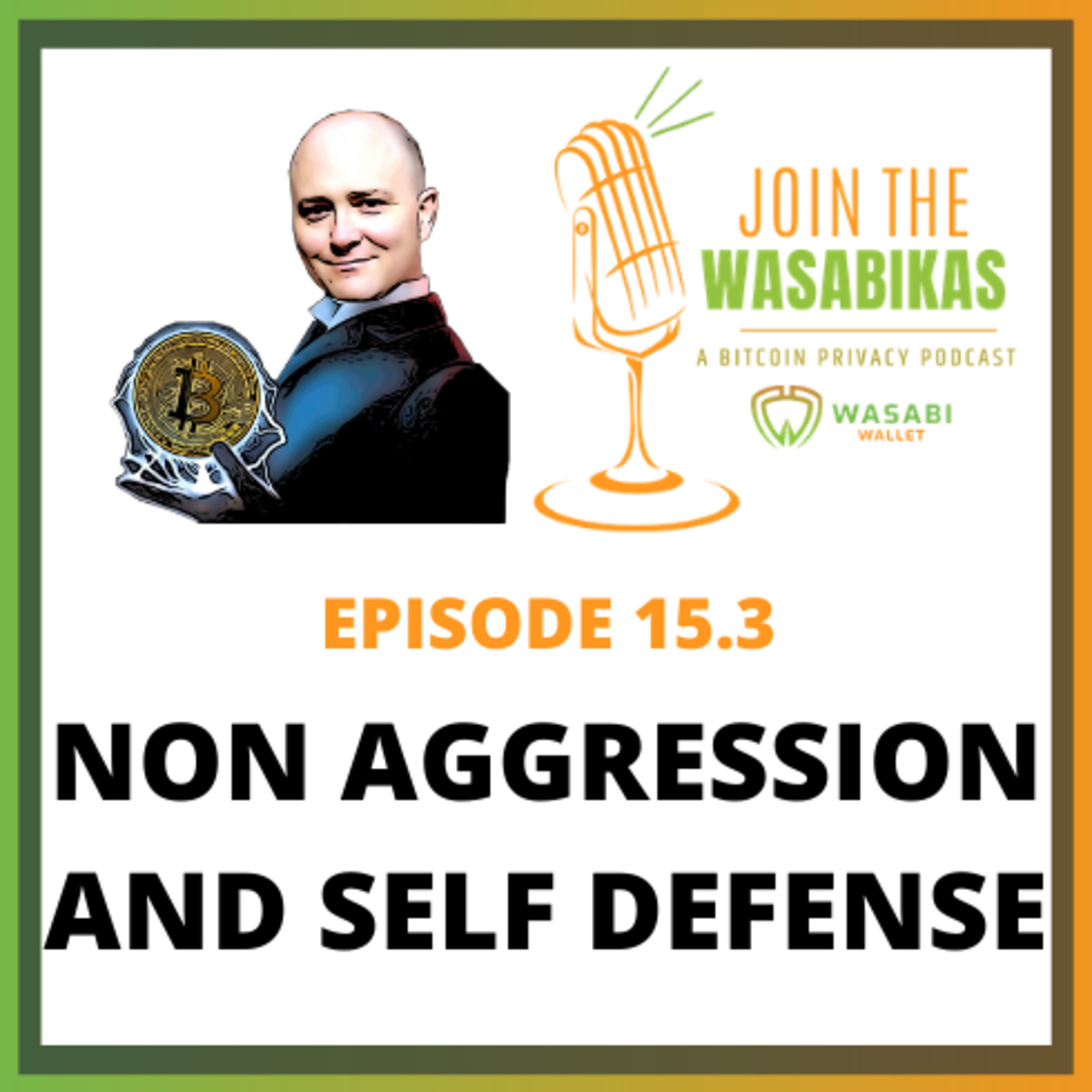 15.3 Non Aggression and Self Defense || Stephan Kinsella episode artwork