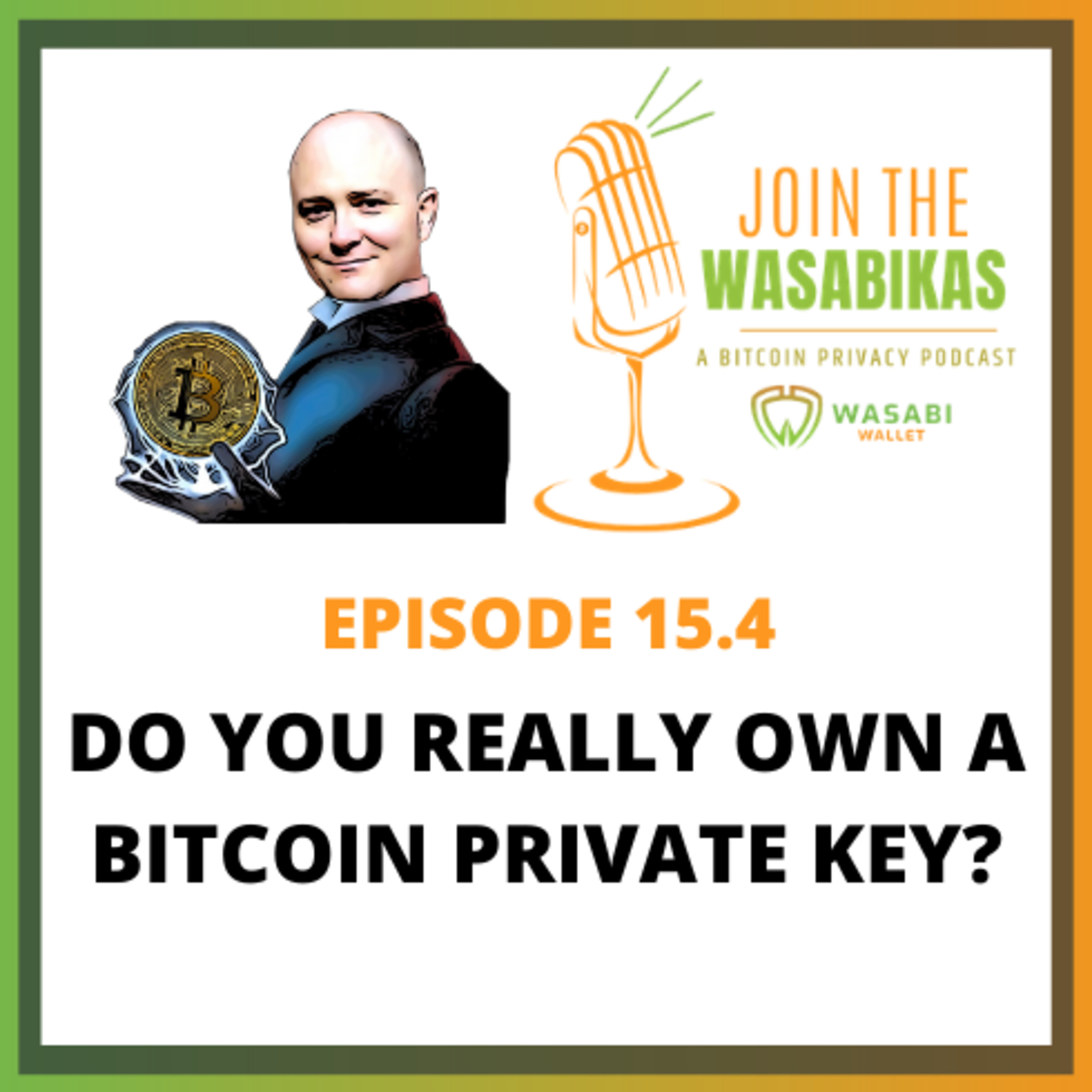15.4 Do You Really OWN a Bitcoin Private Key? || Stephan Kinsella episode artwork