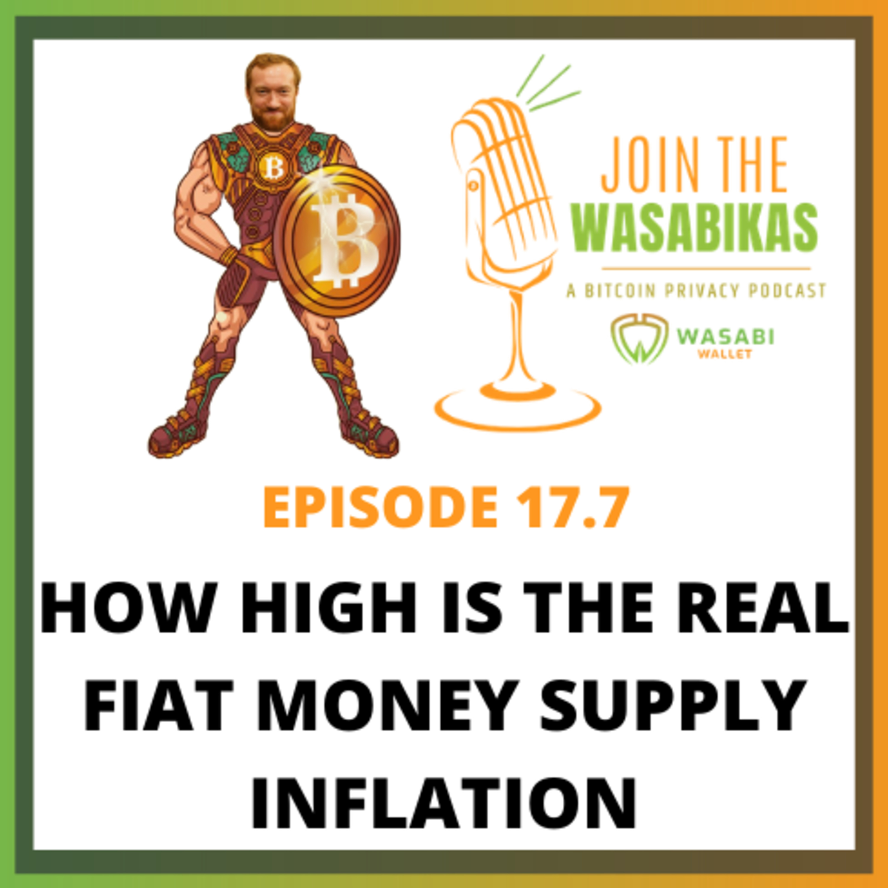 17.7 How high is the REAL Fiat Money Supply Inflation || Matthew Mežinskis episode artwork