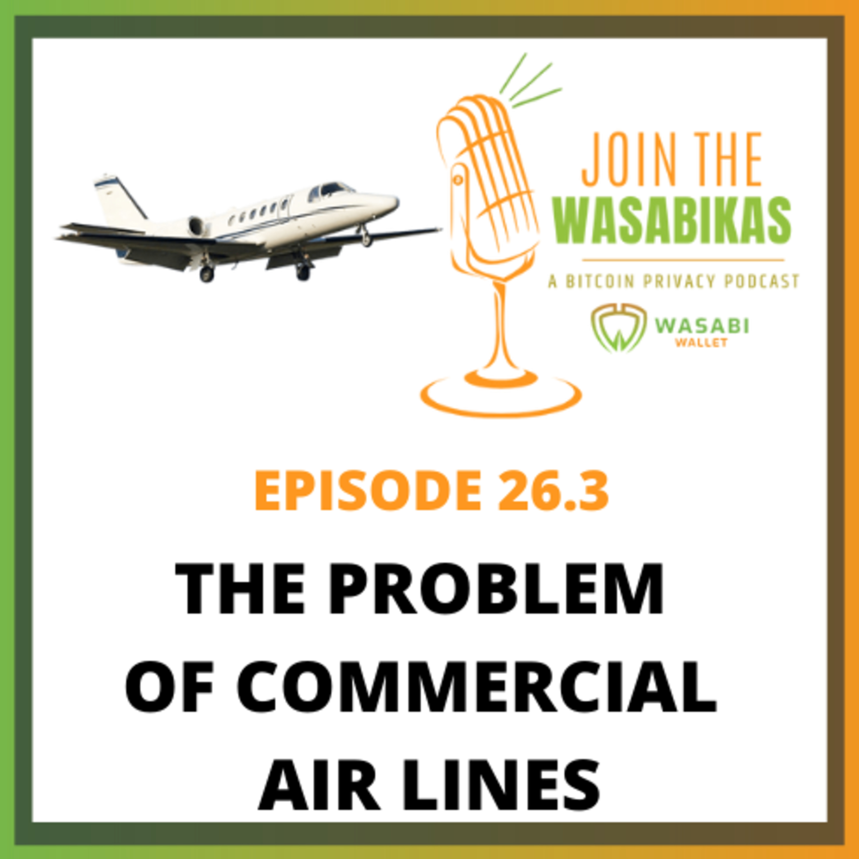 26.3 The Problem of Commercial Air Lines || Roger Proctor episode artwork