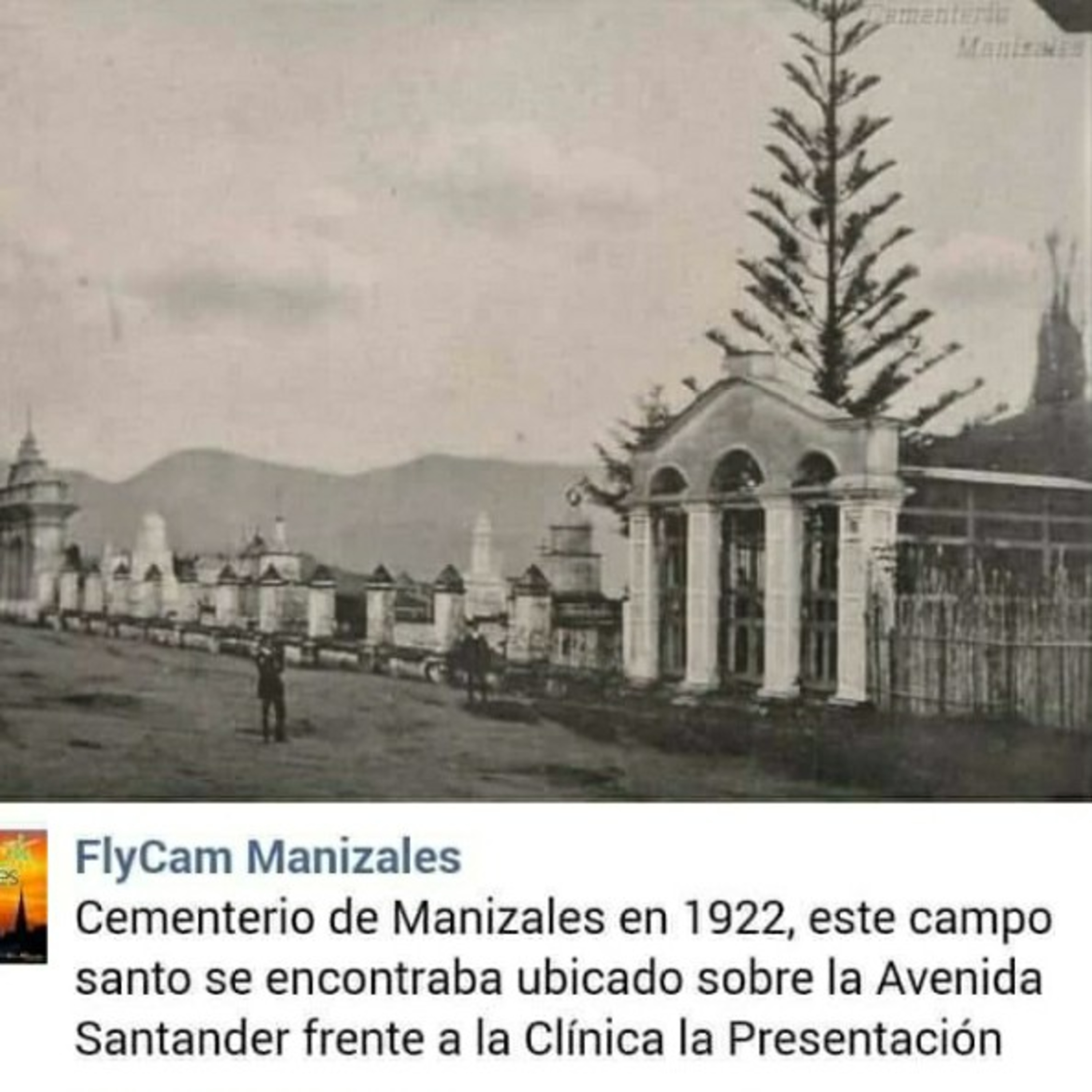 Relatos Divertidos en Español