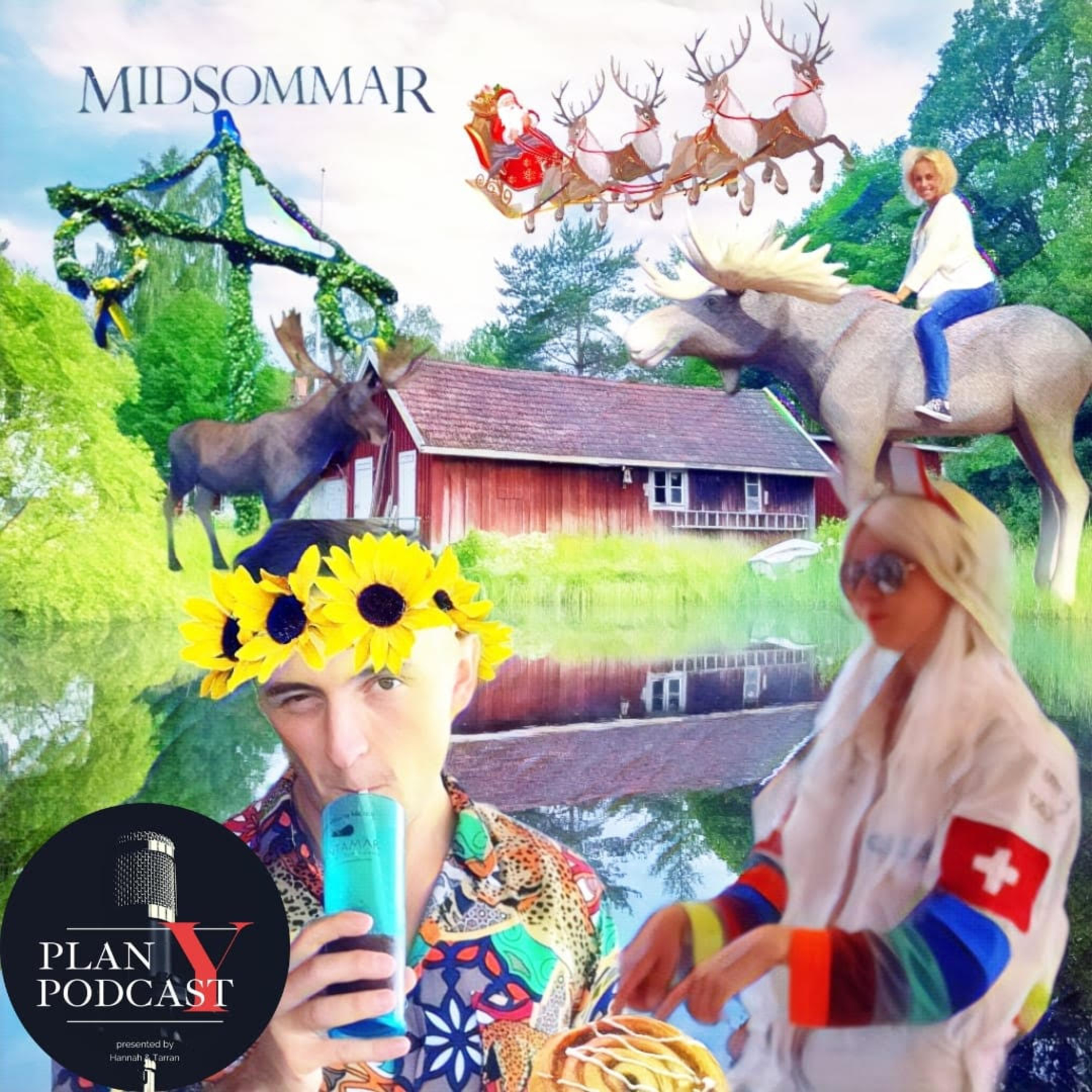 PLAN Y - Episode 006 - Swedish Meat Balls episode artwork