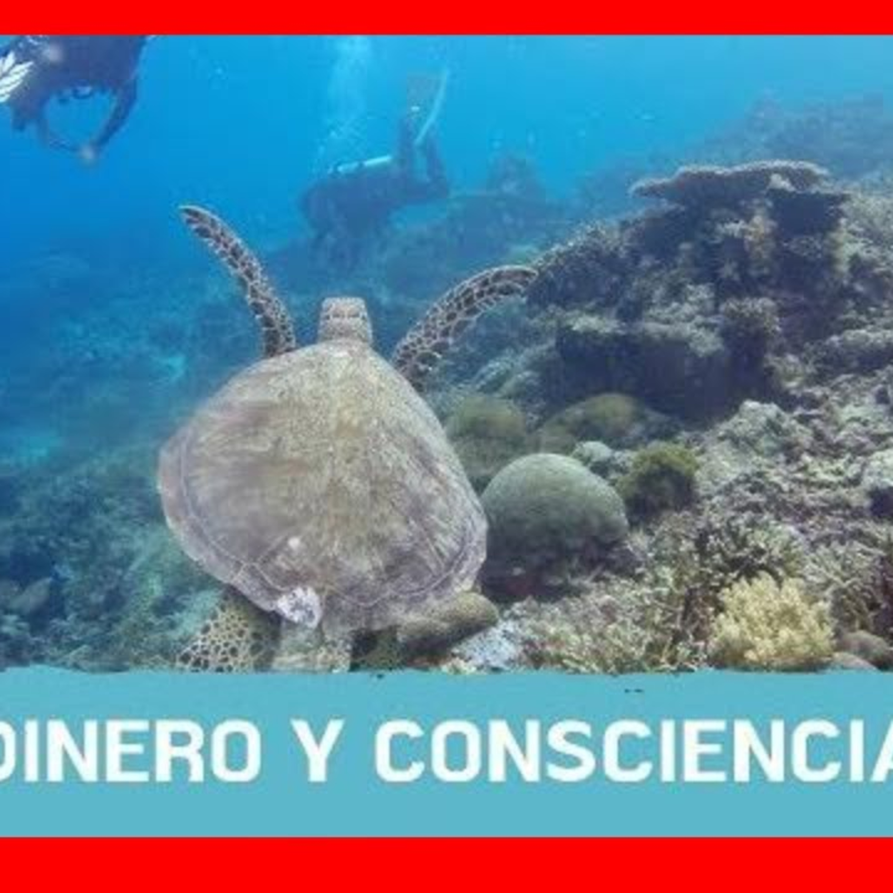 Educación Financiera Y Finanzas Personales En EvitalaCrisis.com