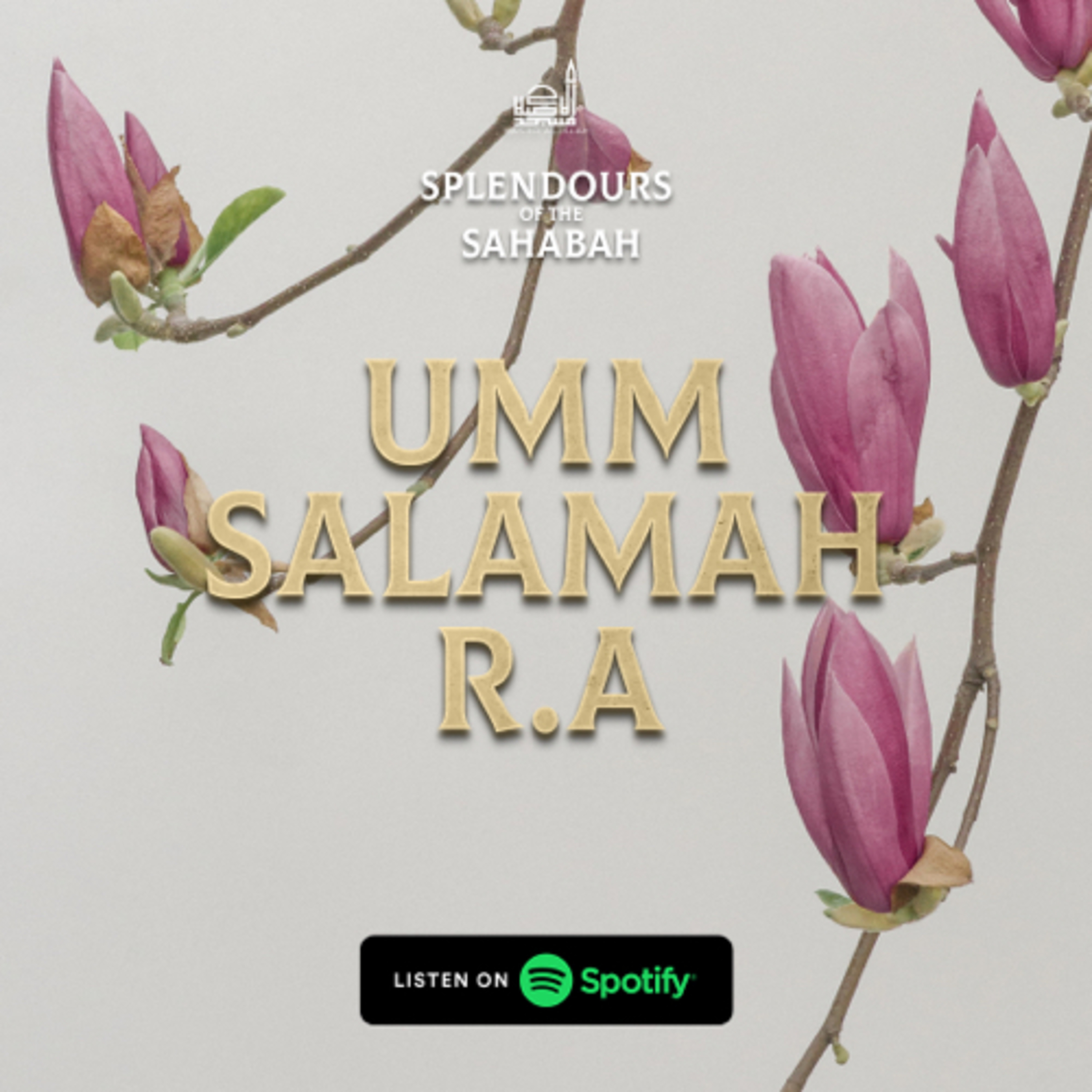 Splendours Of The Sahabah