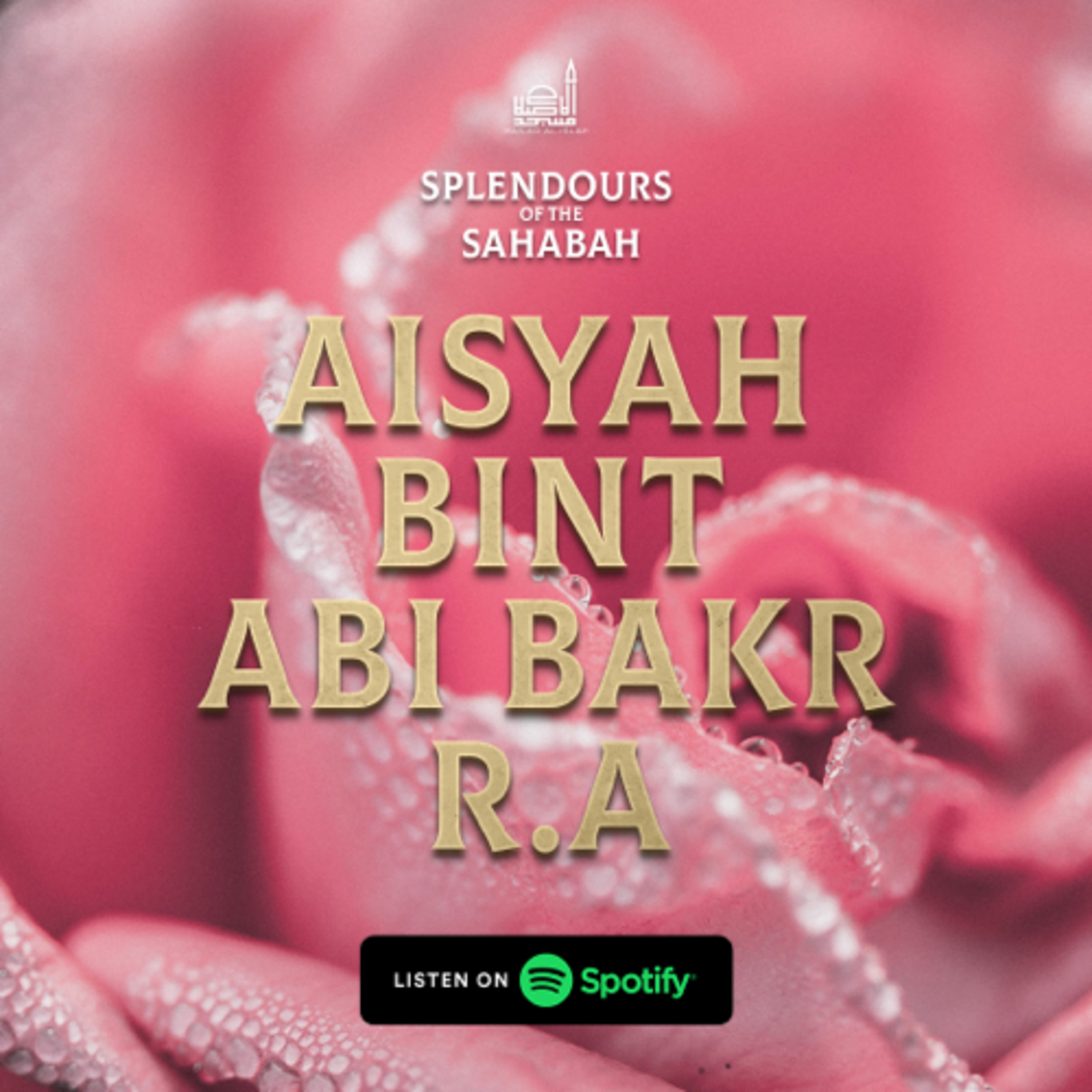 Splendours Of The Sahabah