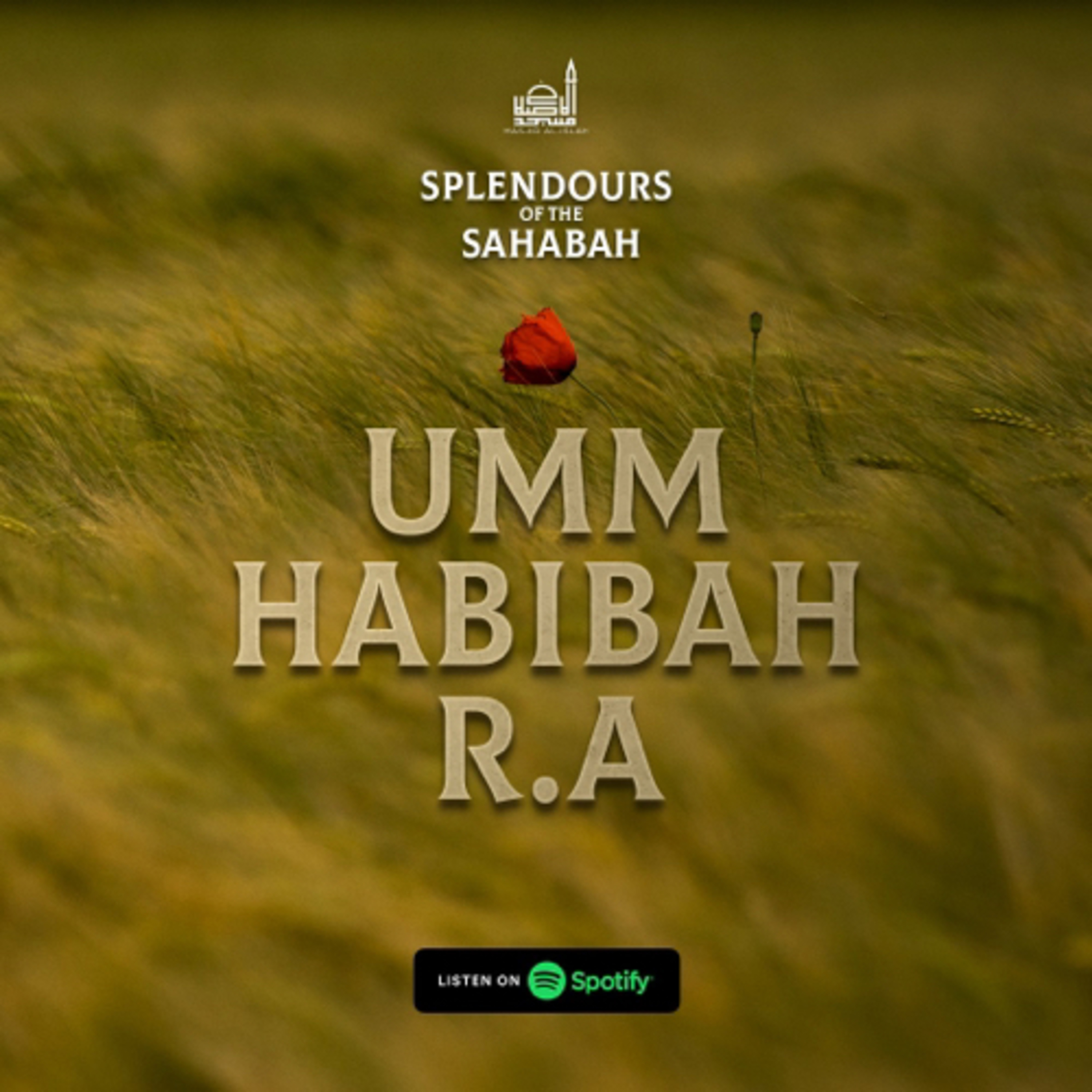 Splendours Of The Sahabah