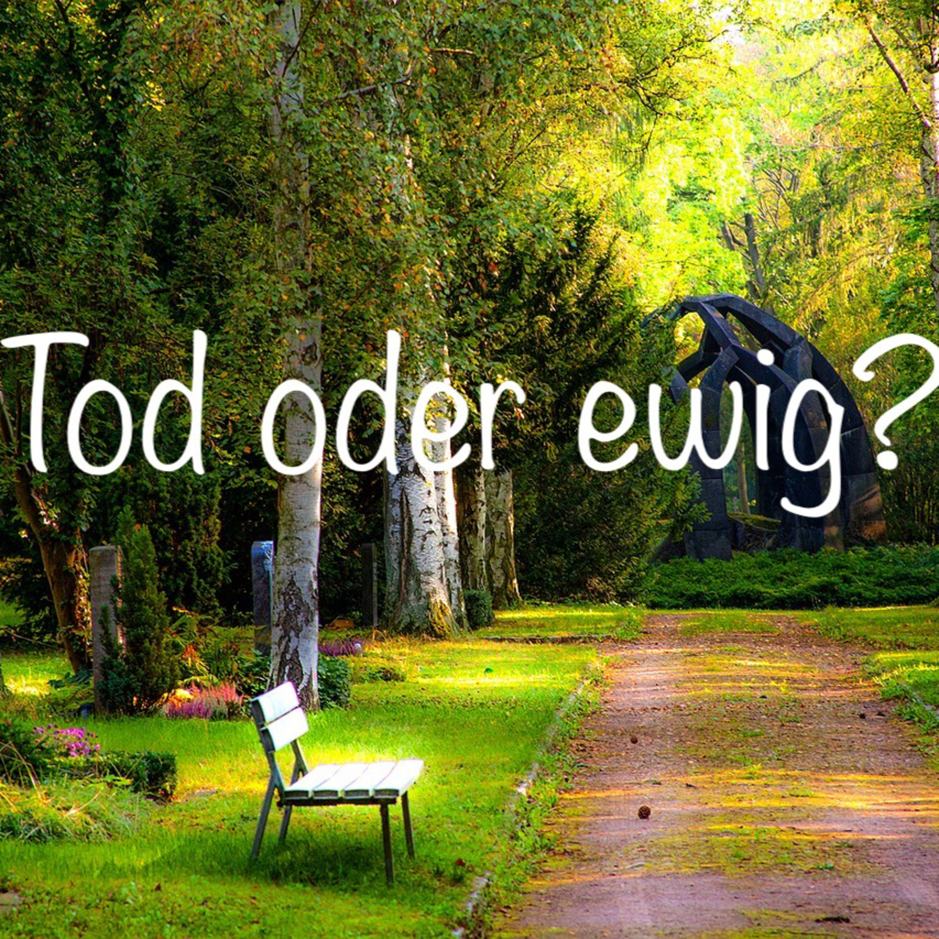 Guten Morgen!