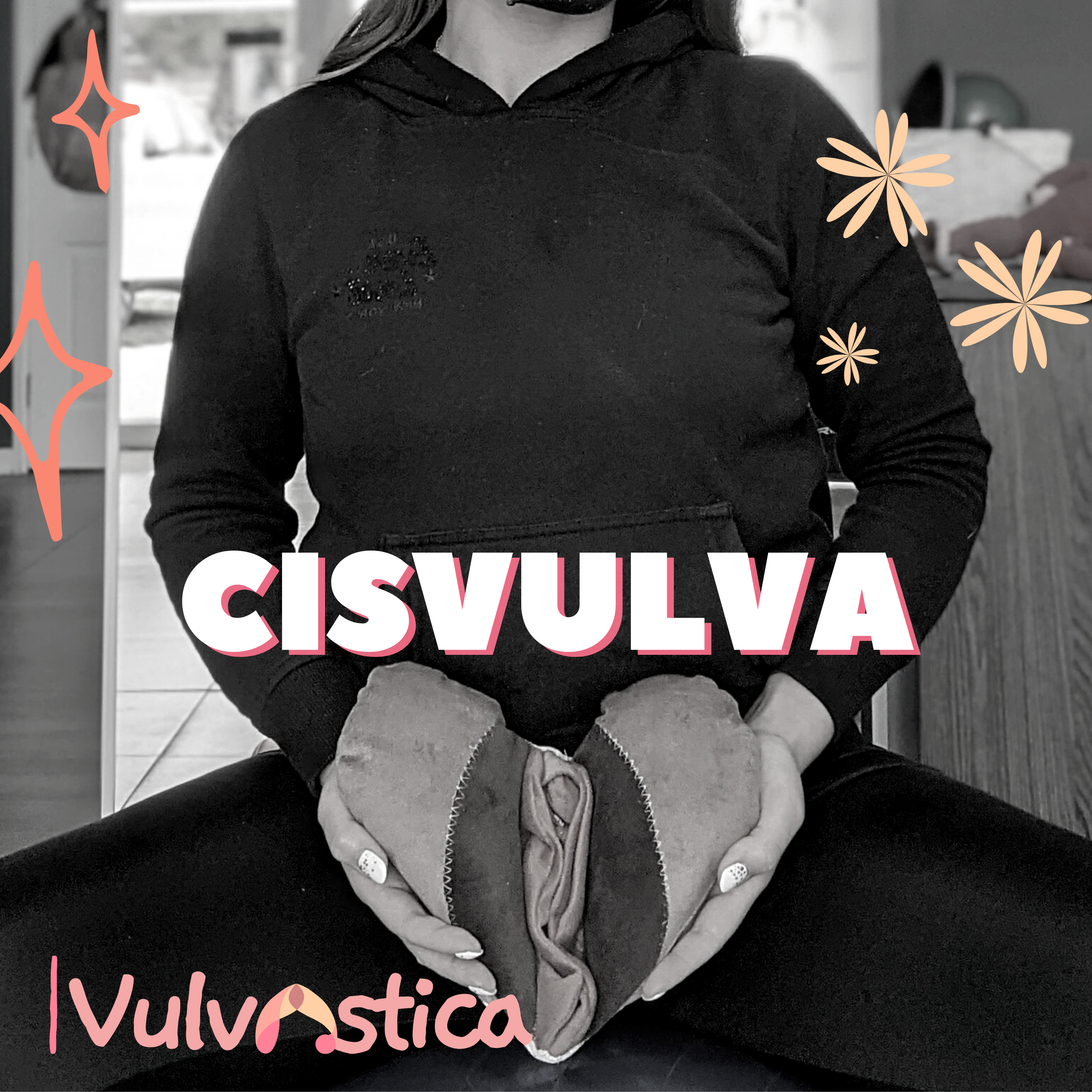 CisVulva episode artwork