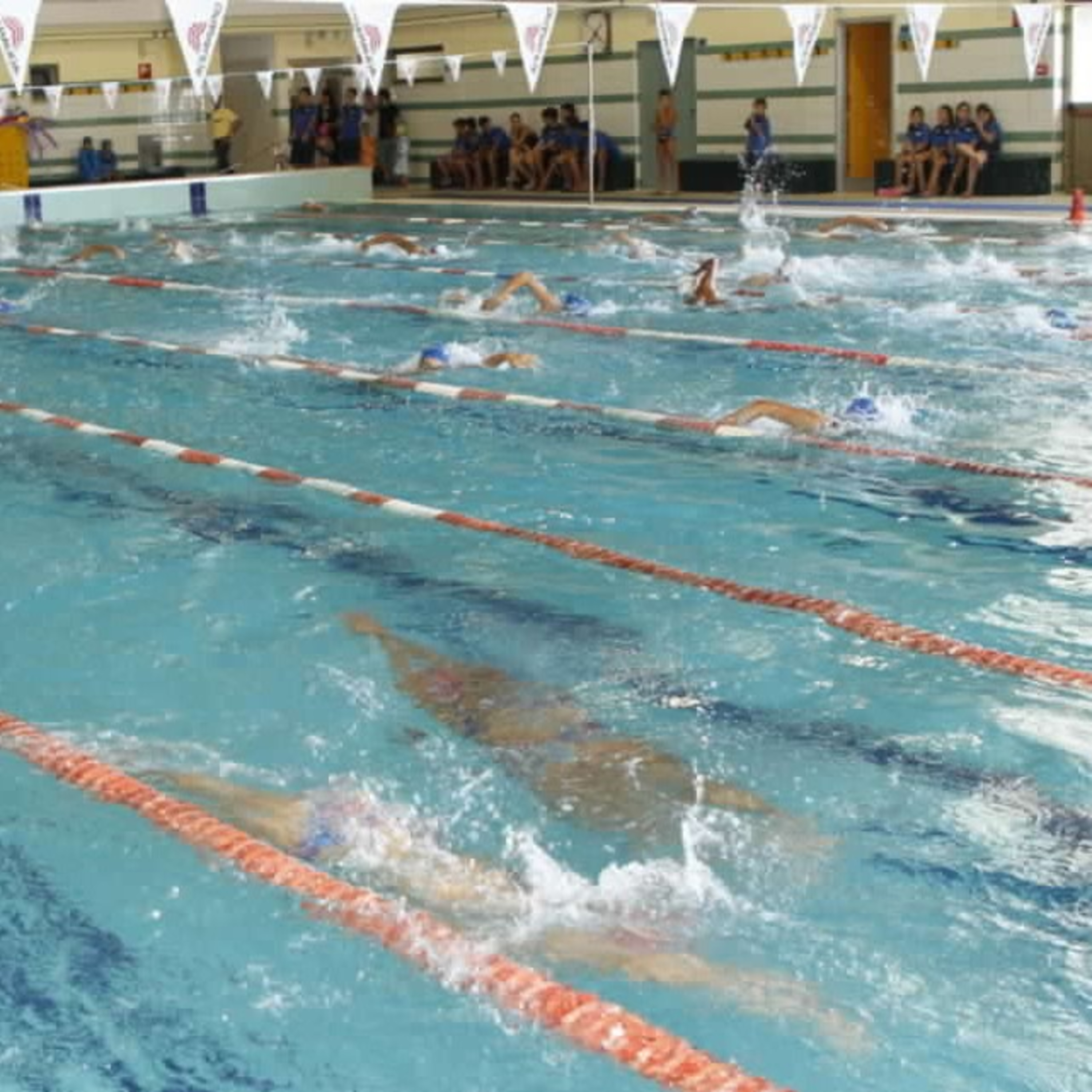 #JNSP news: torna il nuoto di base. Qualificazioni nazionali in Calabria dopo un anno di stop.  episode artwork