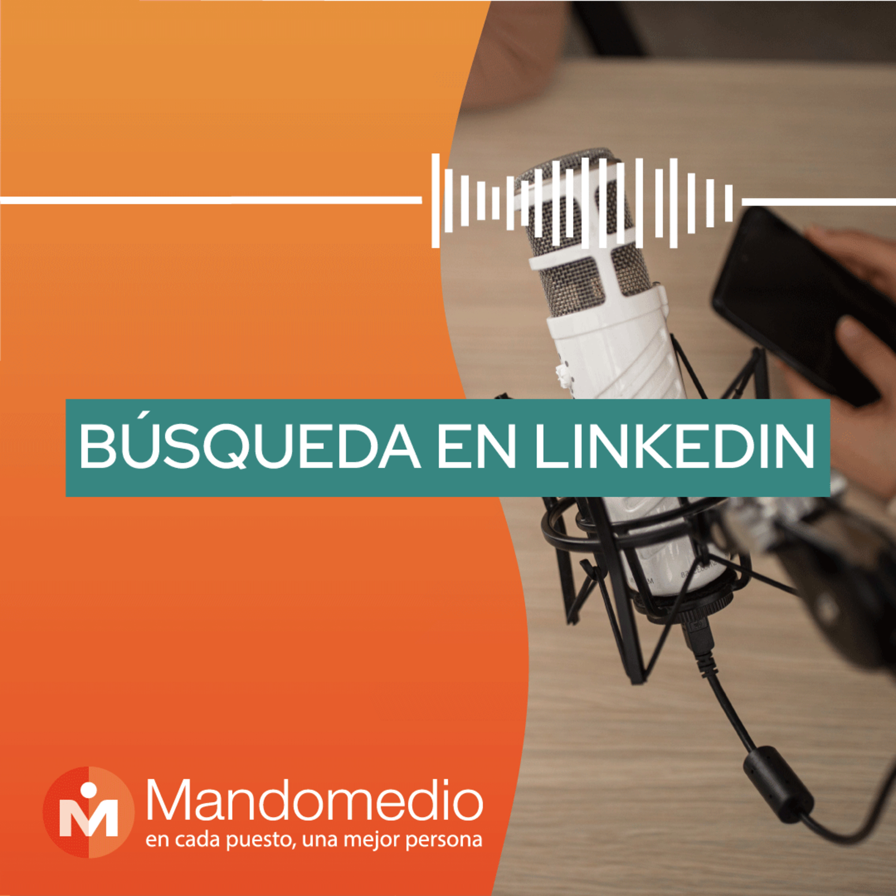 Mandomedio