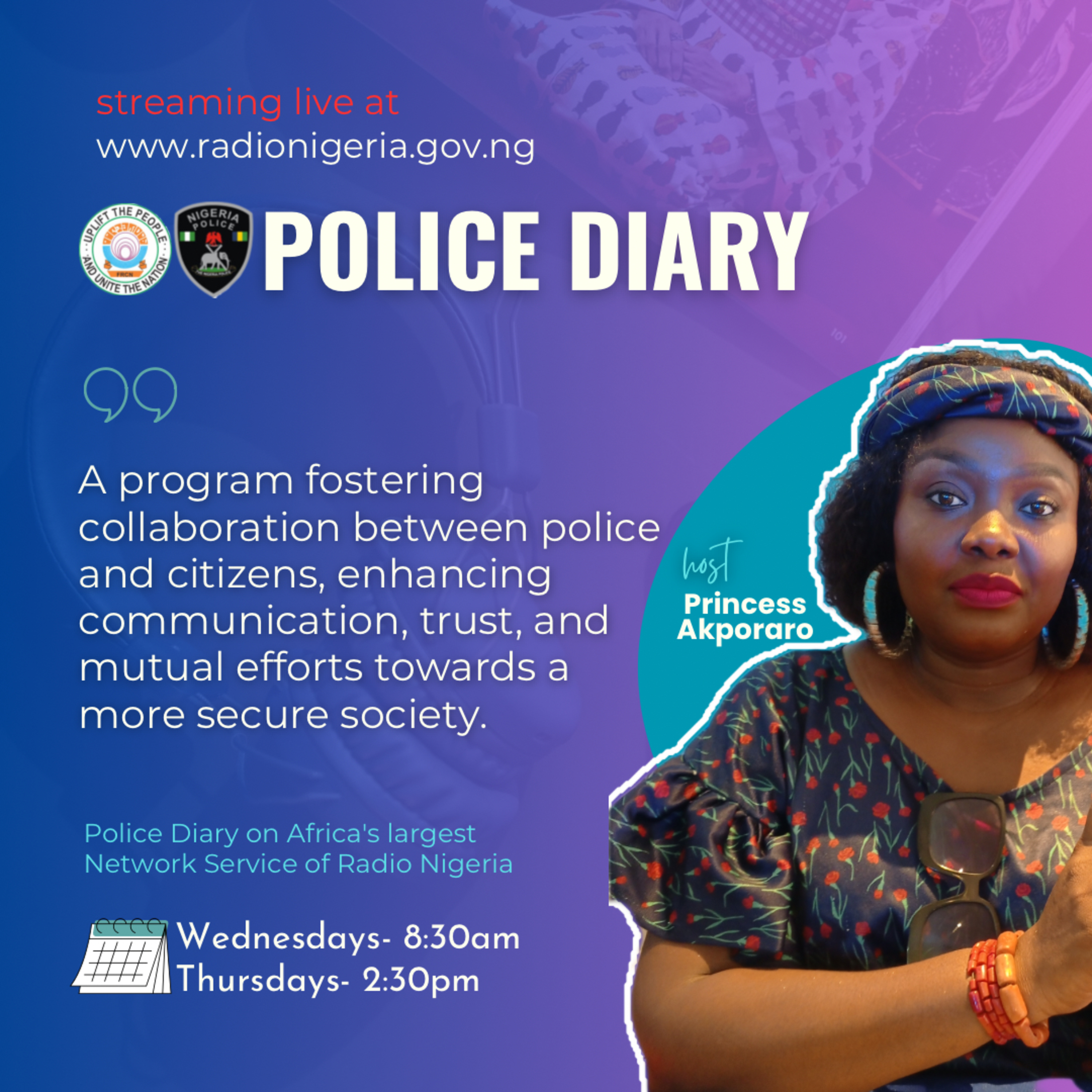 Police Diary  episode artwork