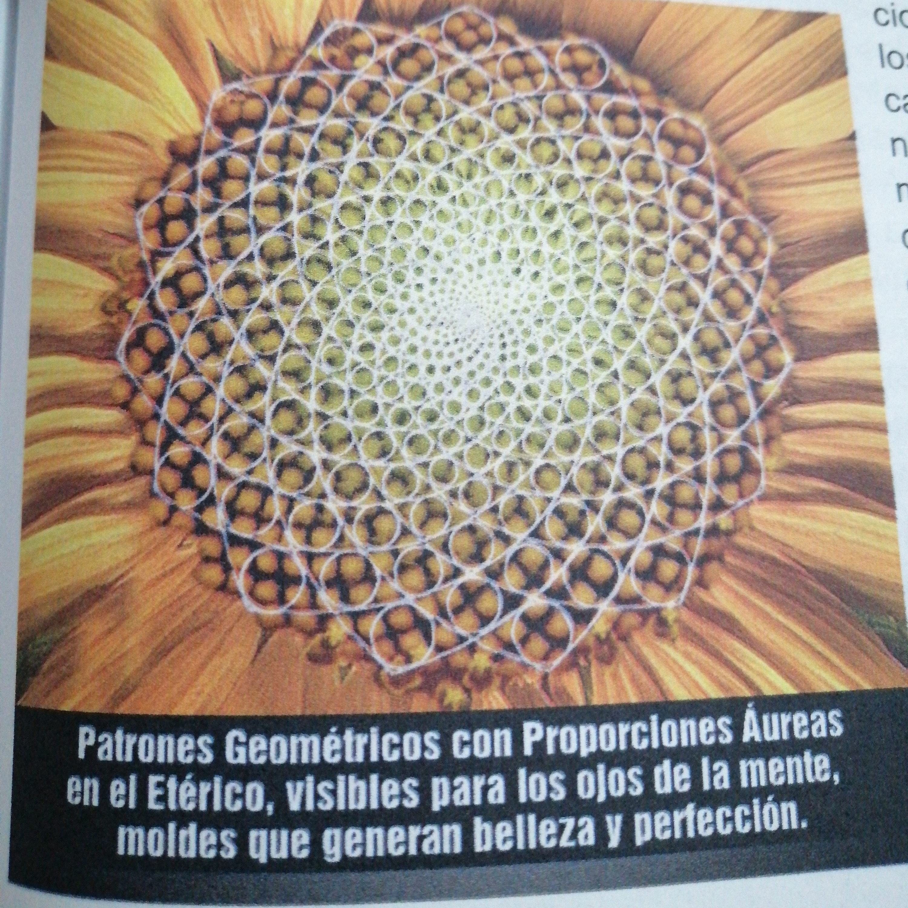 Las Charlas con Ary