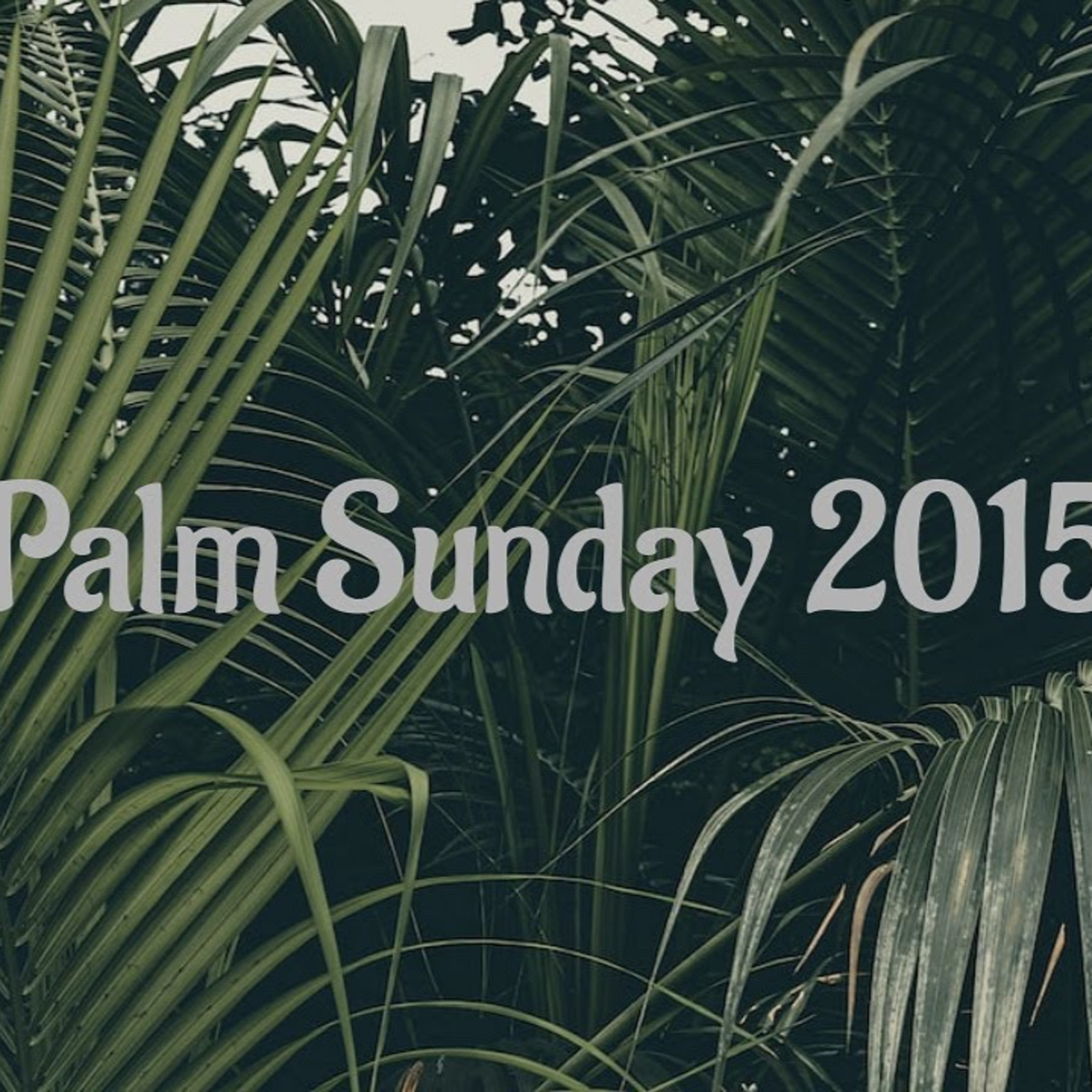 Thrive.Church Weekly Message