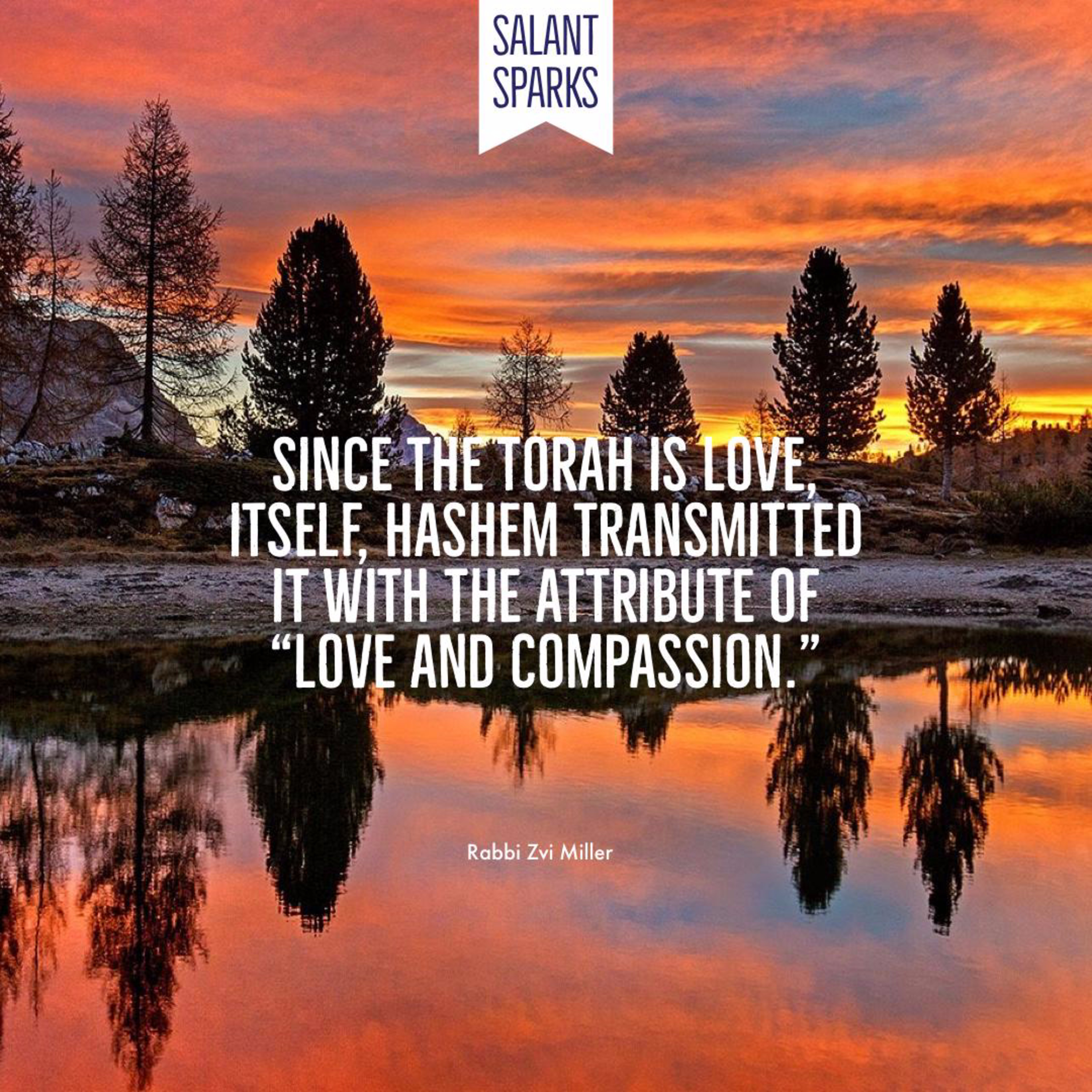 The Salant Foundation