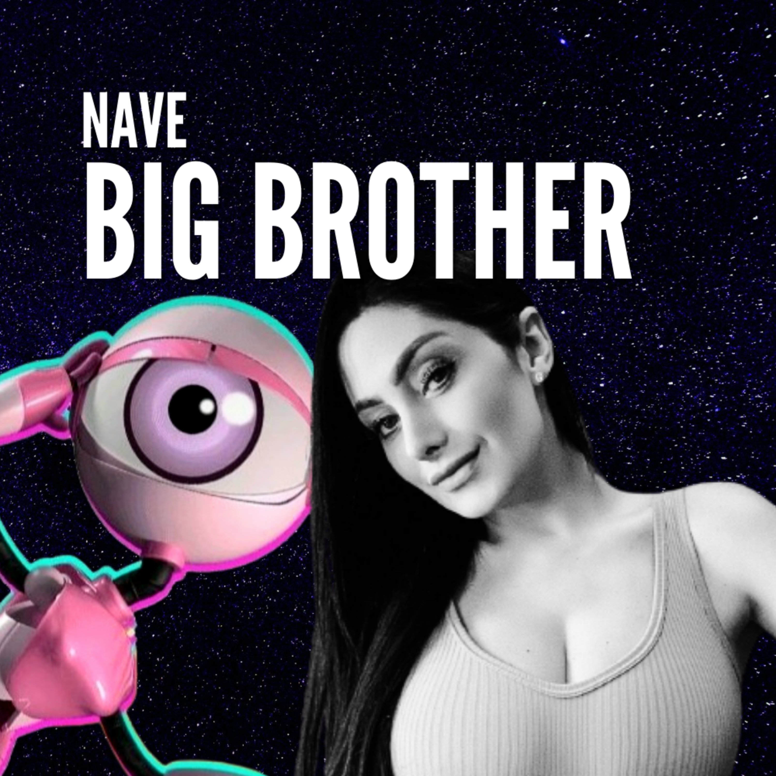 Nave Big Brother