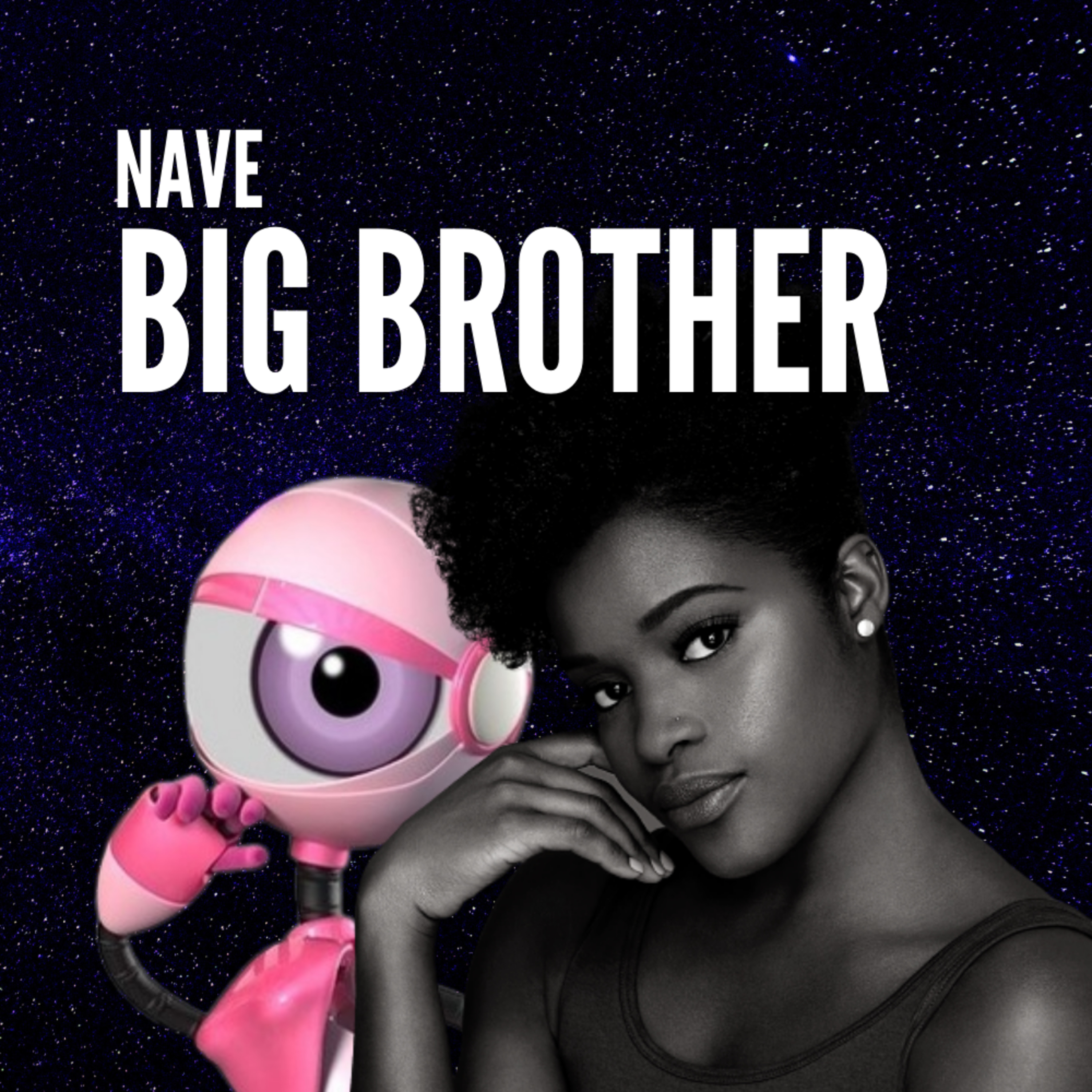 Nave Big Brother