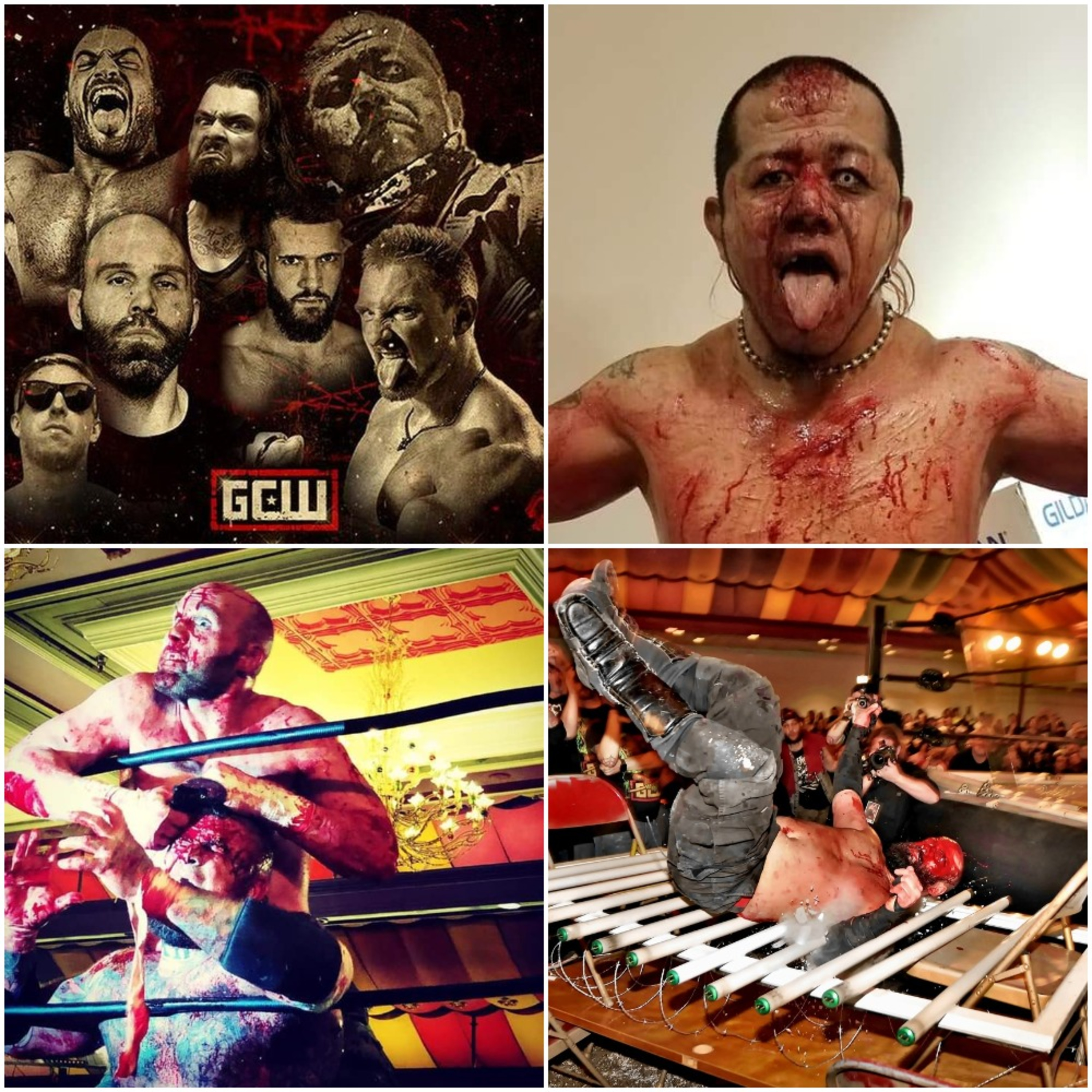 Wrestling Cult